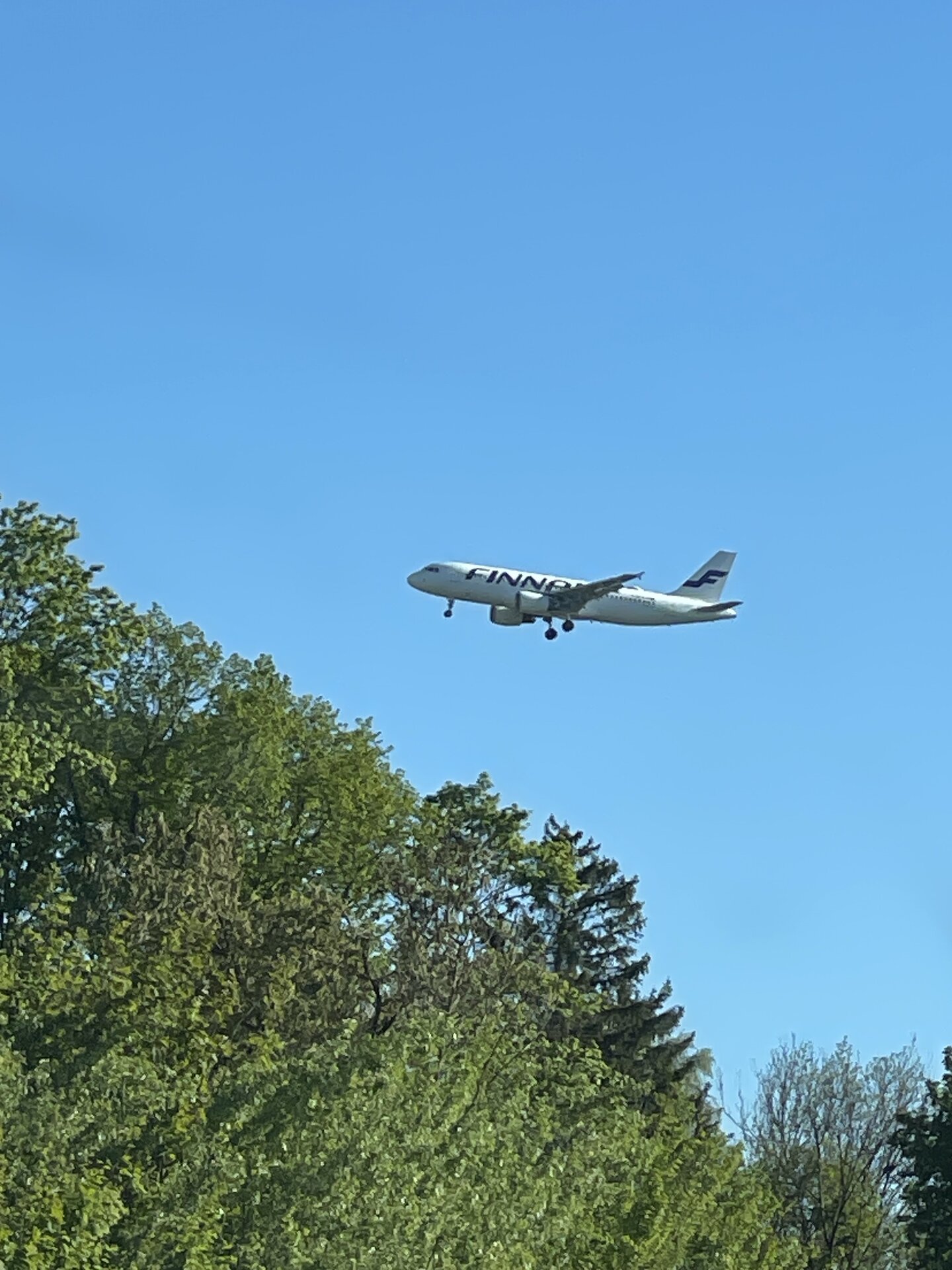 Spotting