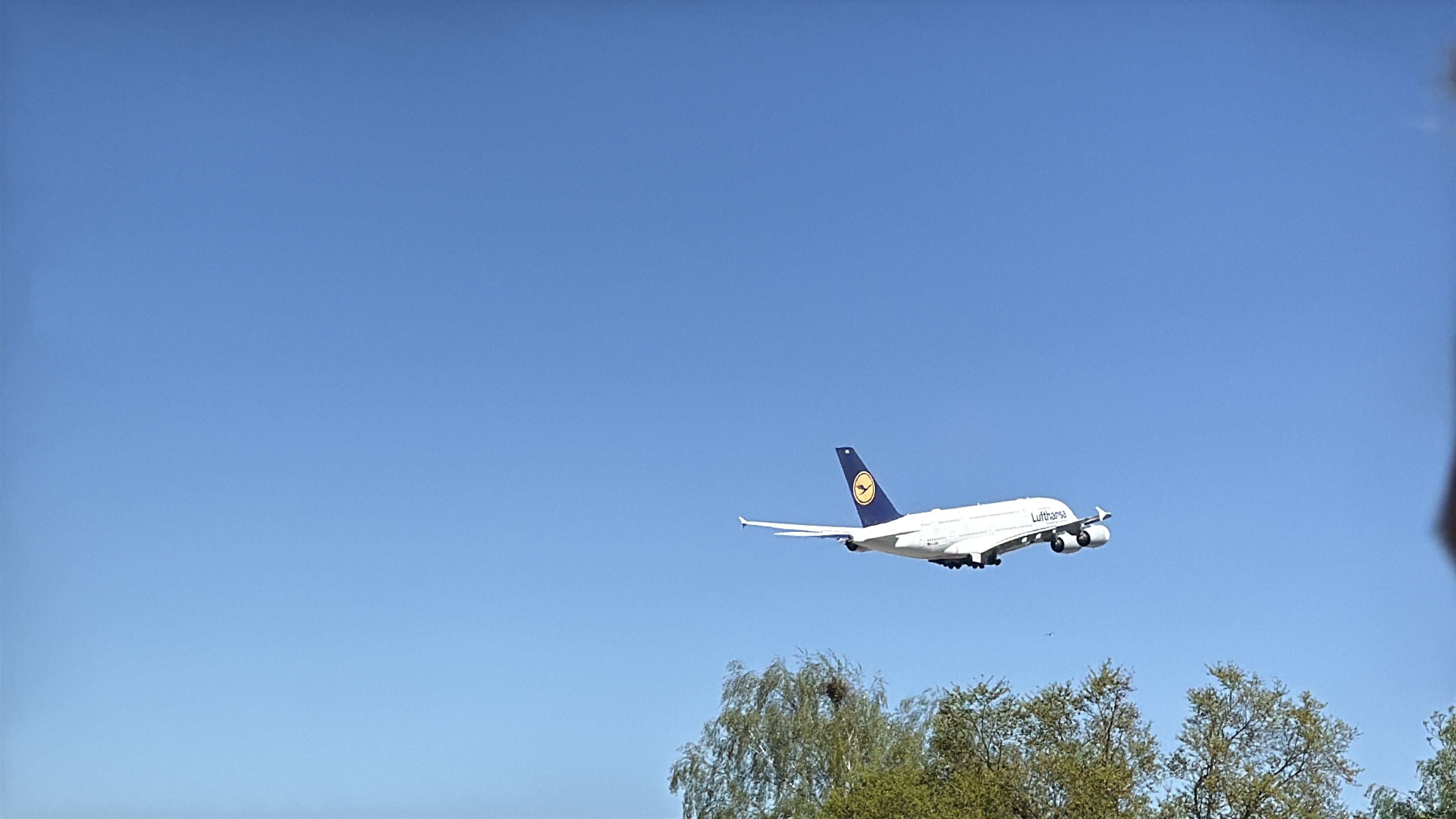 Aircraft