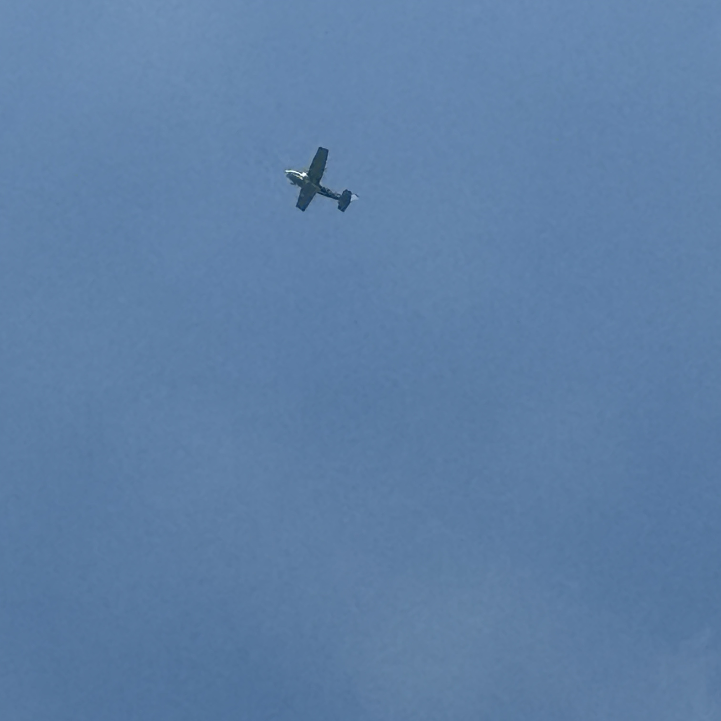 Spotting