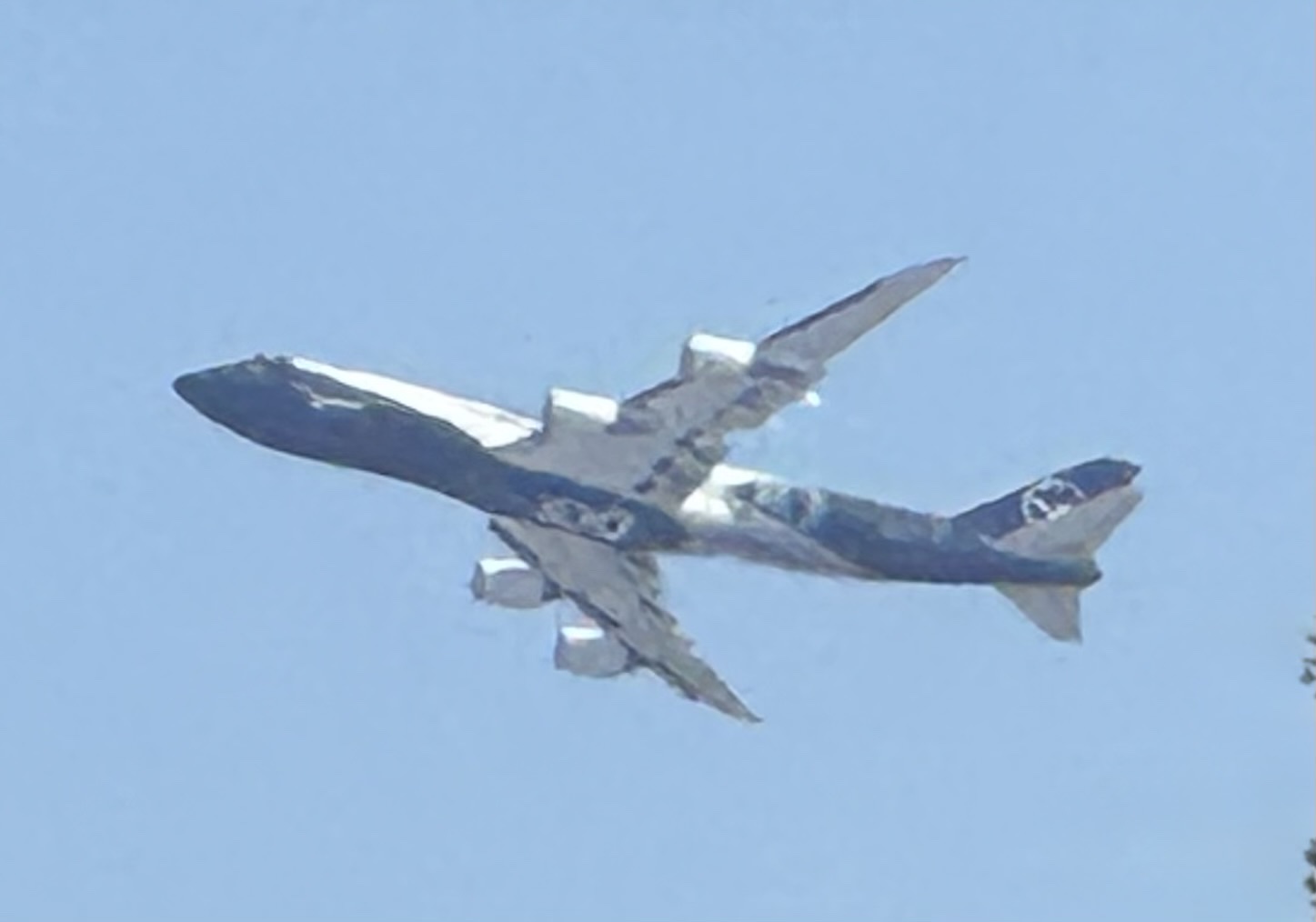 Spotting