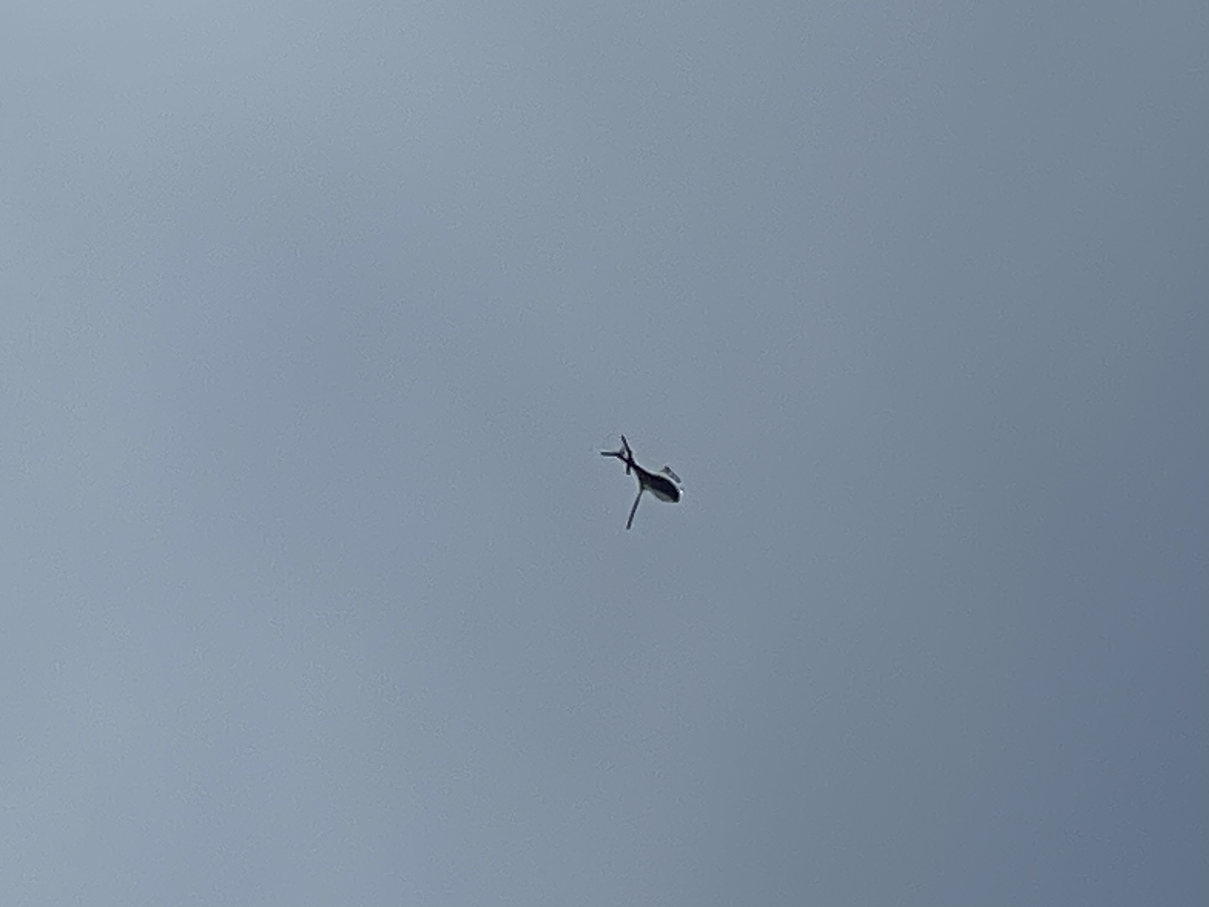 Aircraft