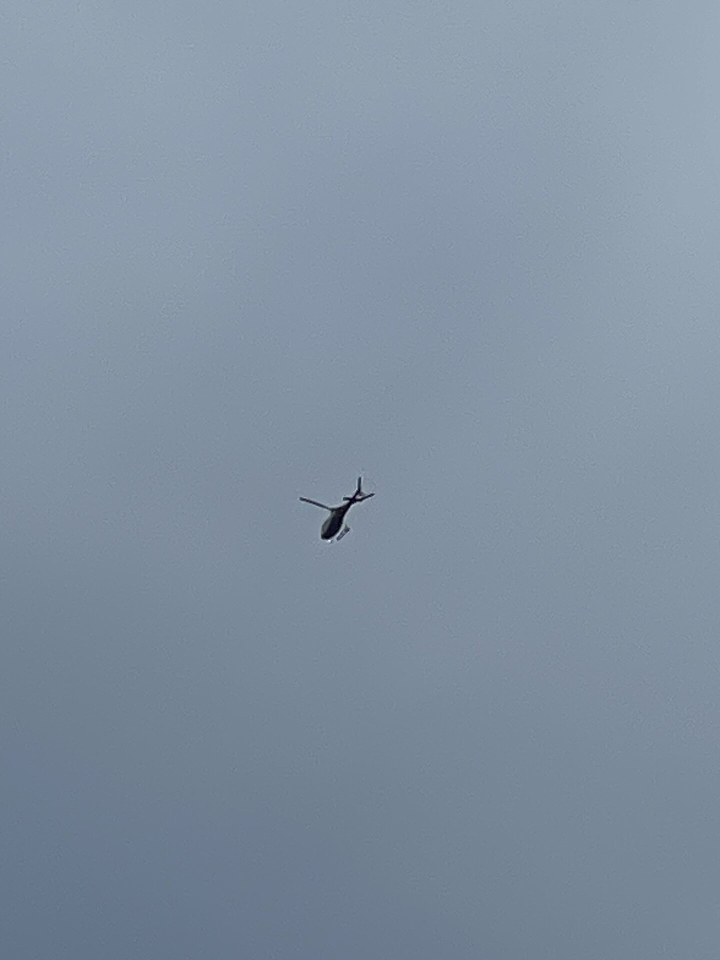 Spotting