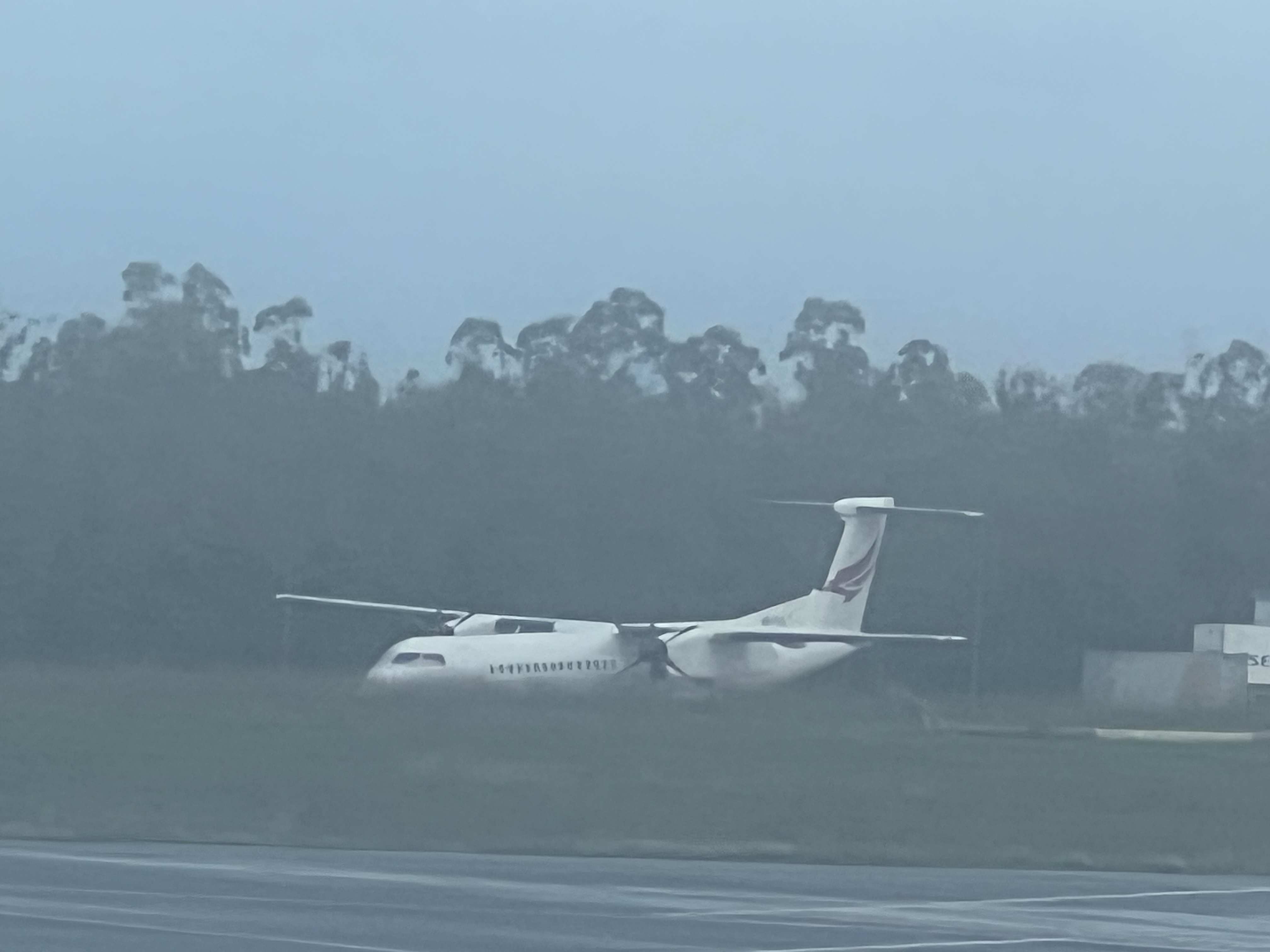 Spotting