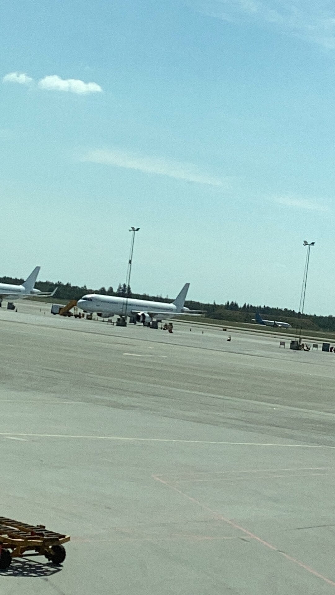 Spotting