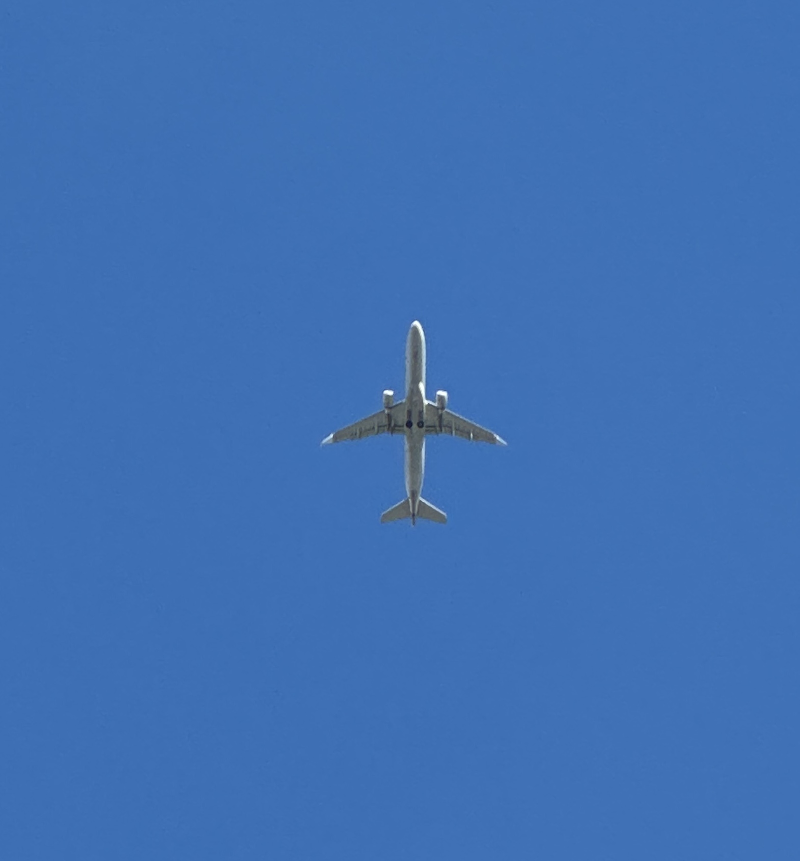 Spotting