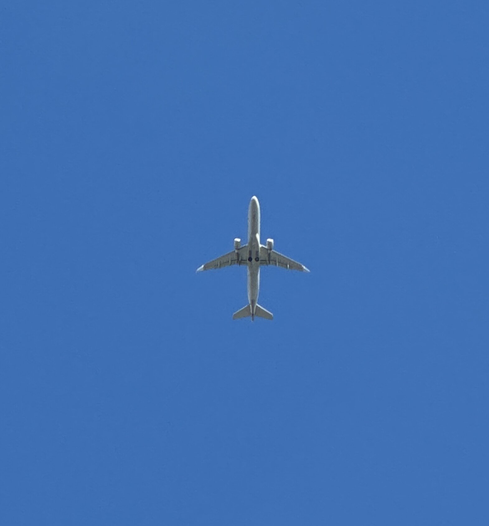 Spotting