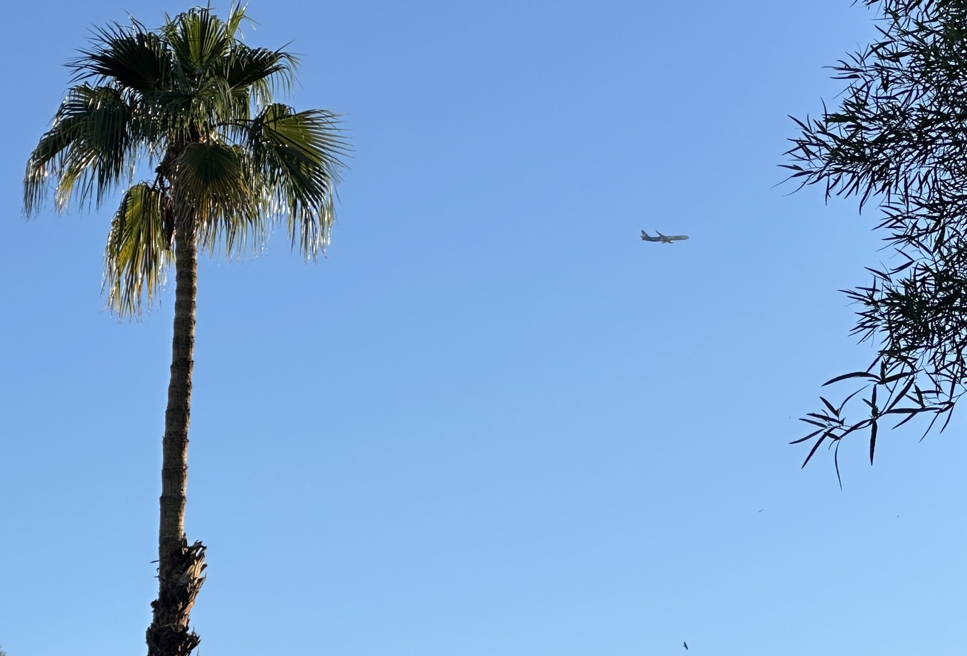 Spotting