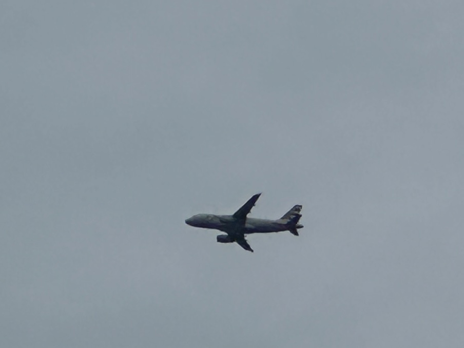 Spotting