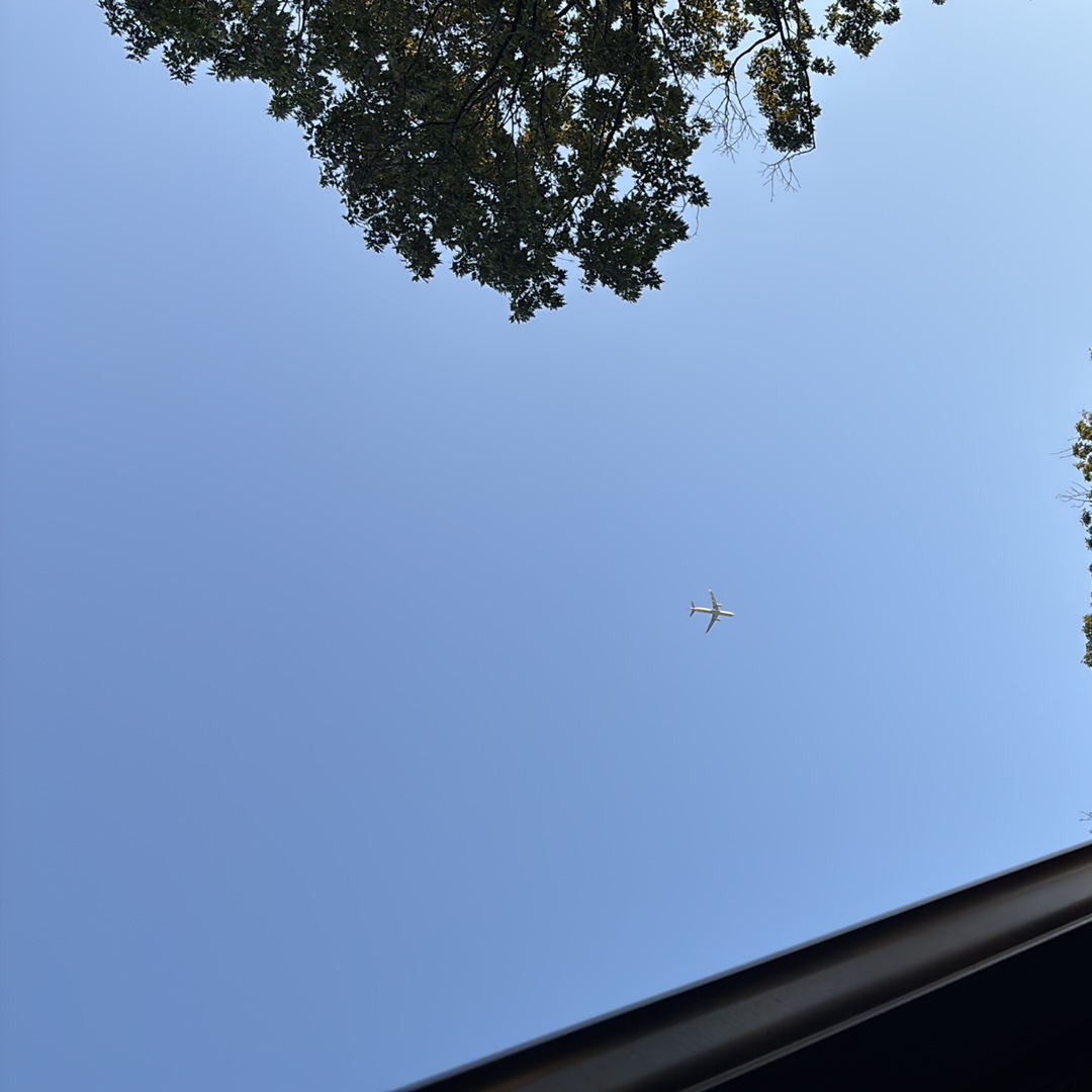 Spotting