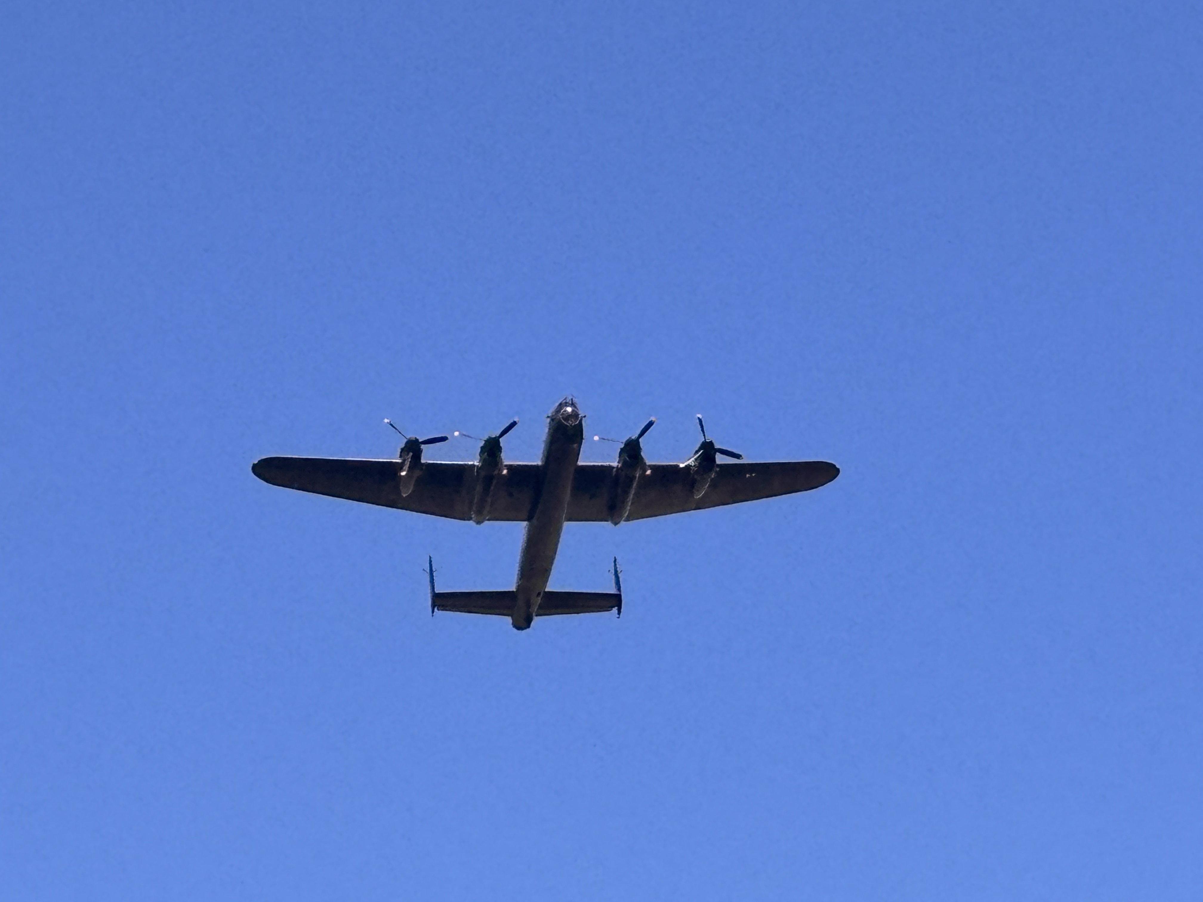 Spotting