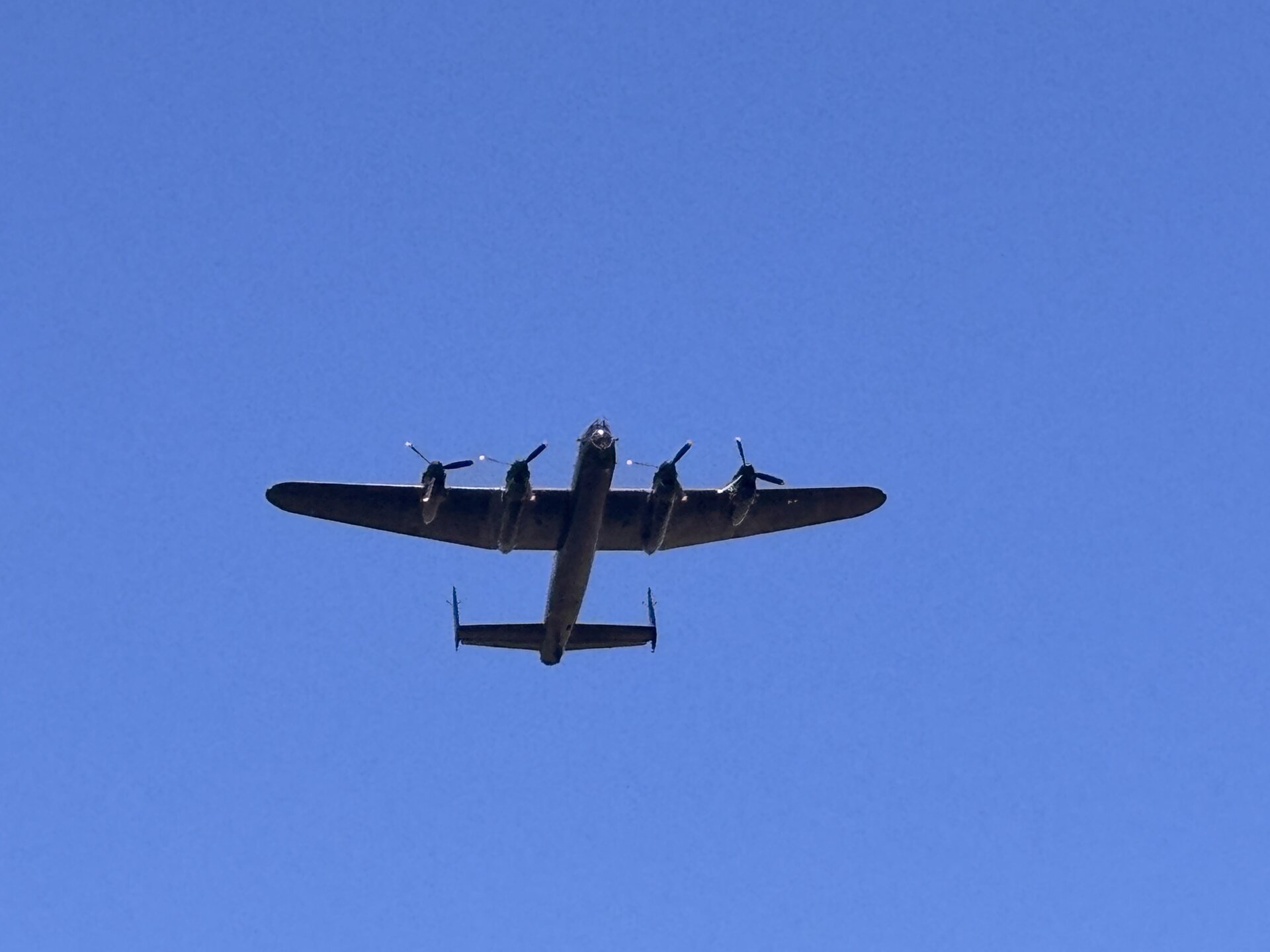 Spotting