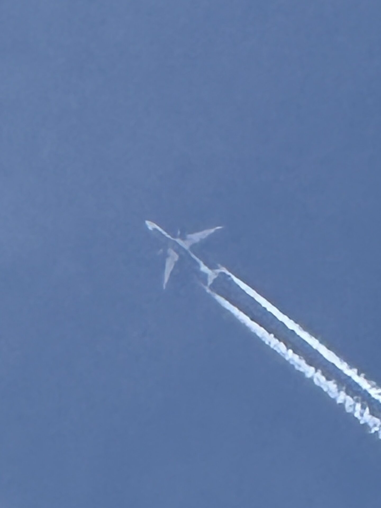 Spotting