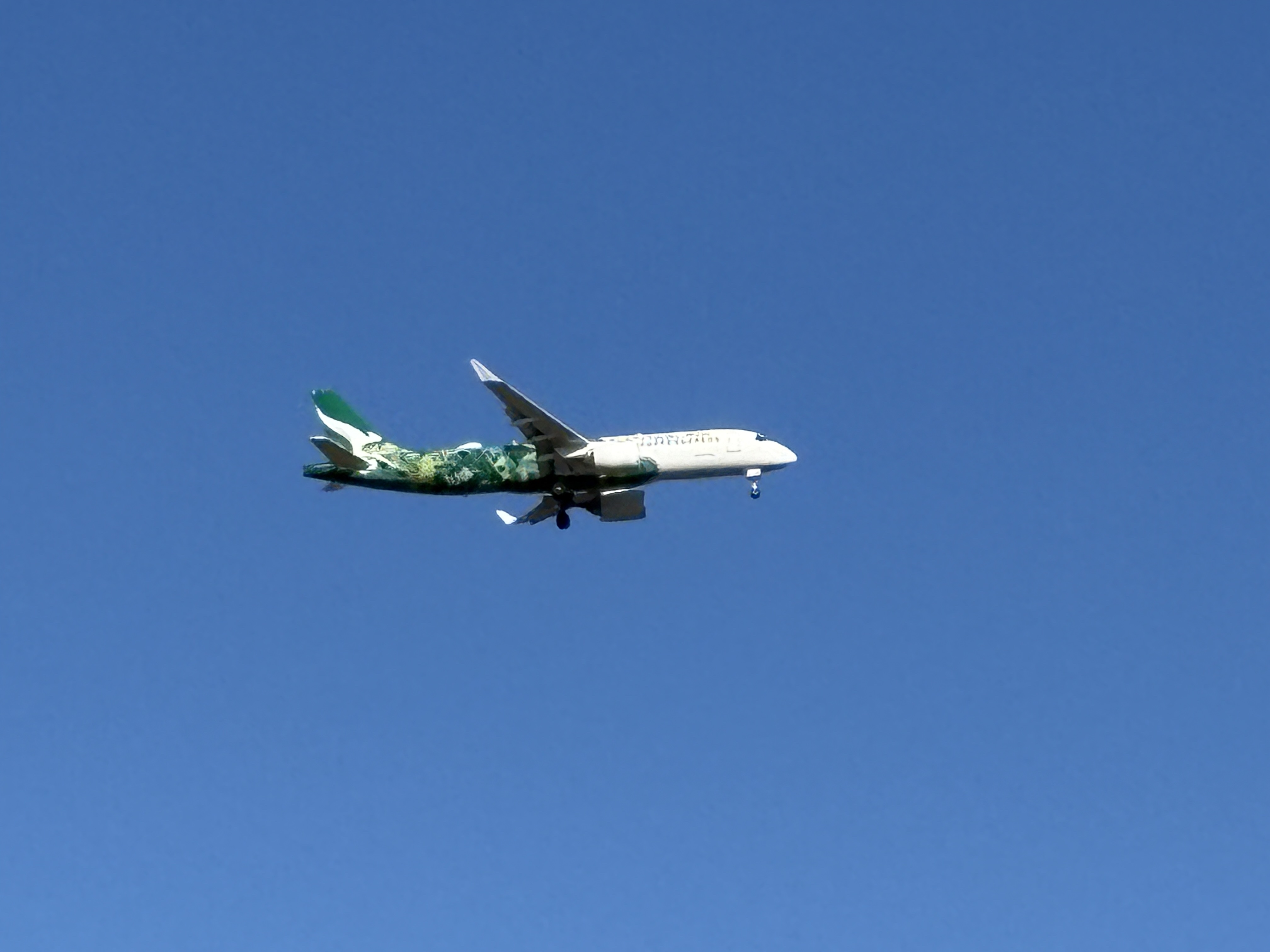 Spotting