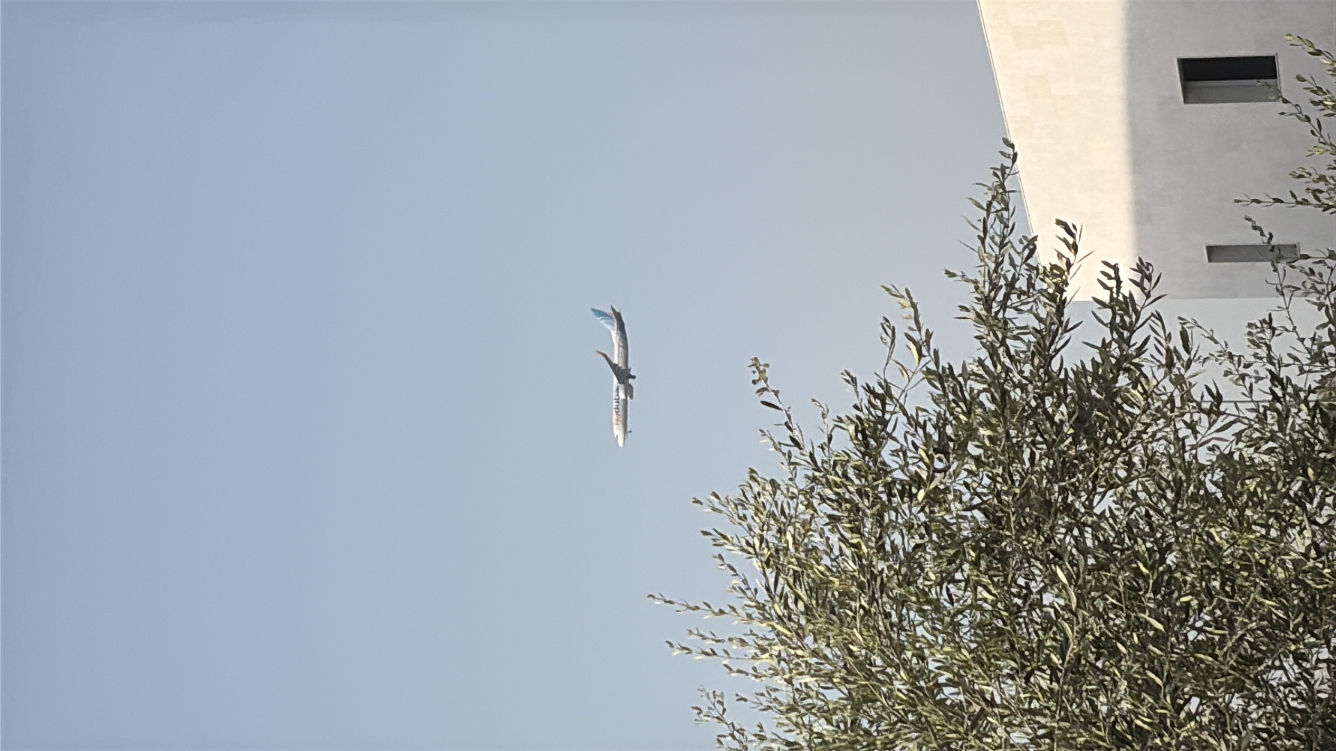 Spotting