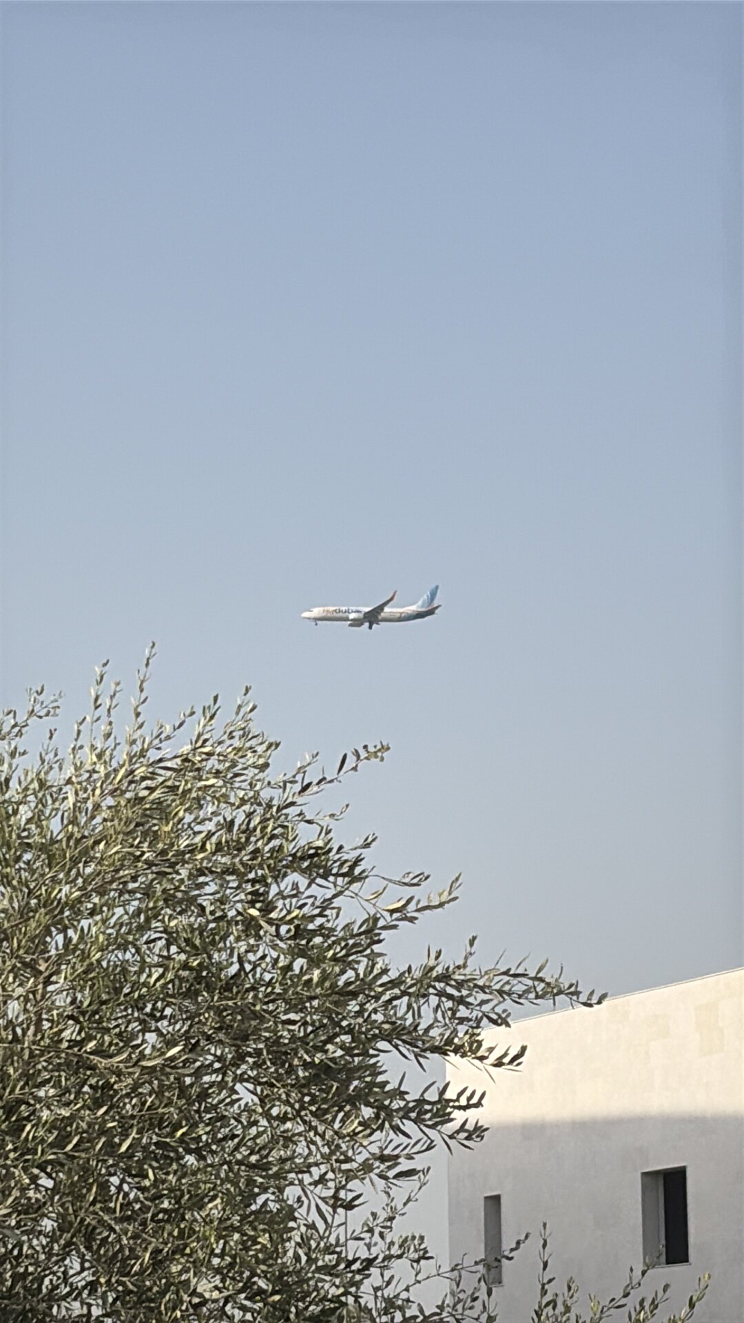 Boeing 737-800