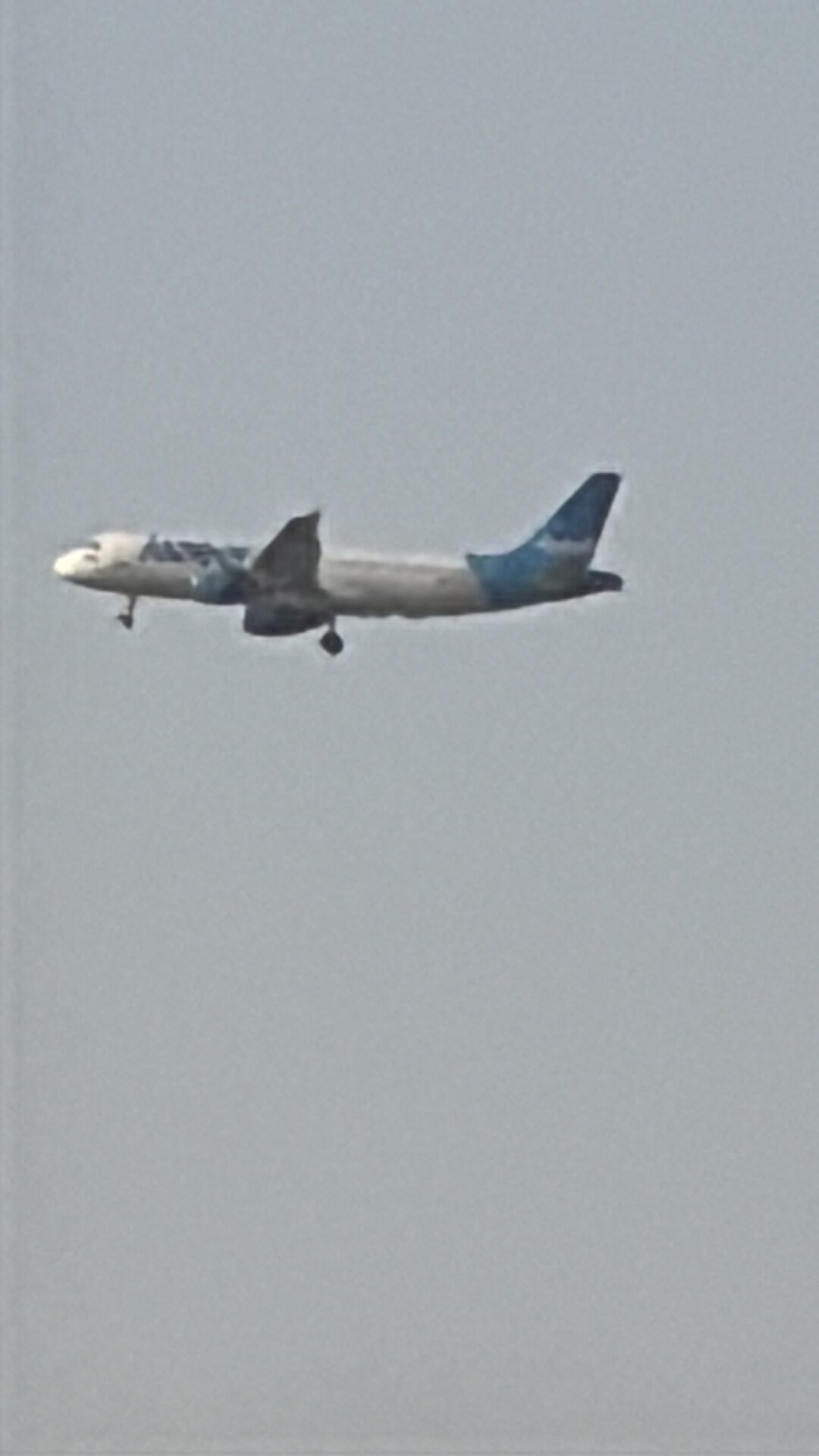 Spotting