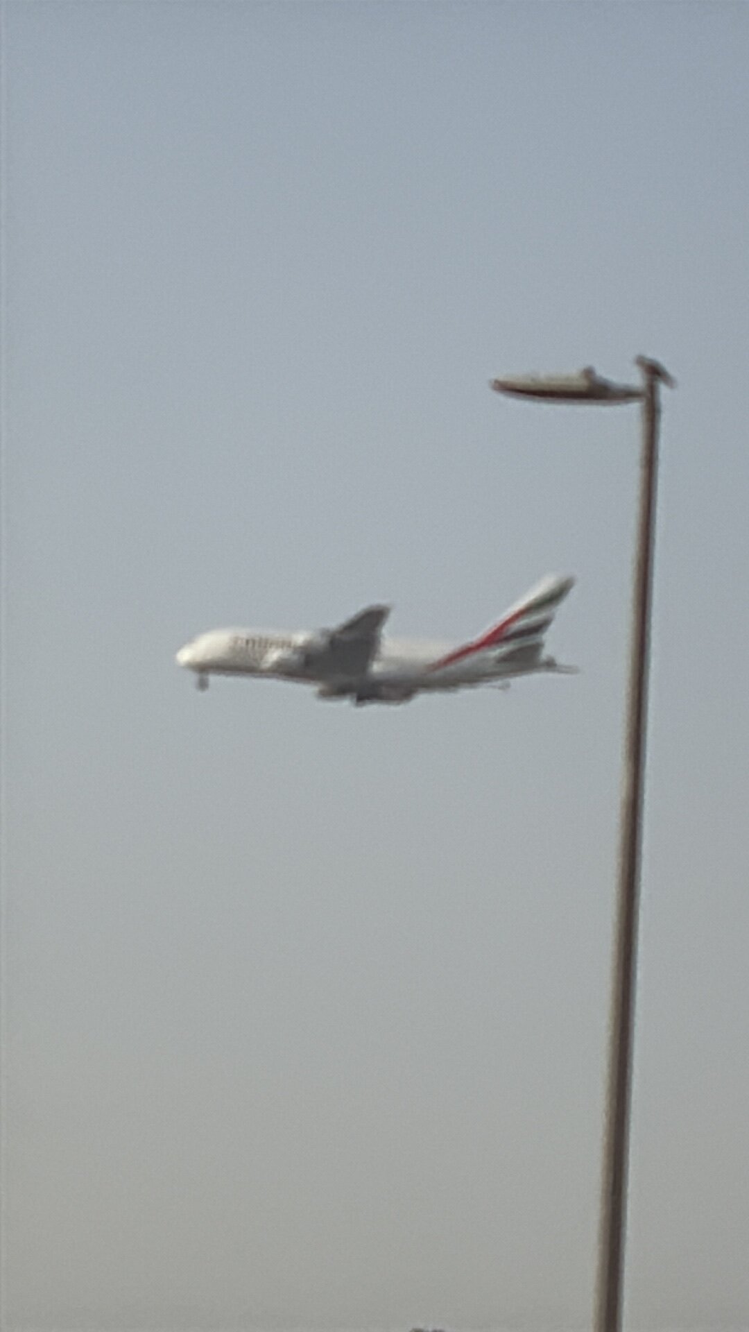 Spotting