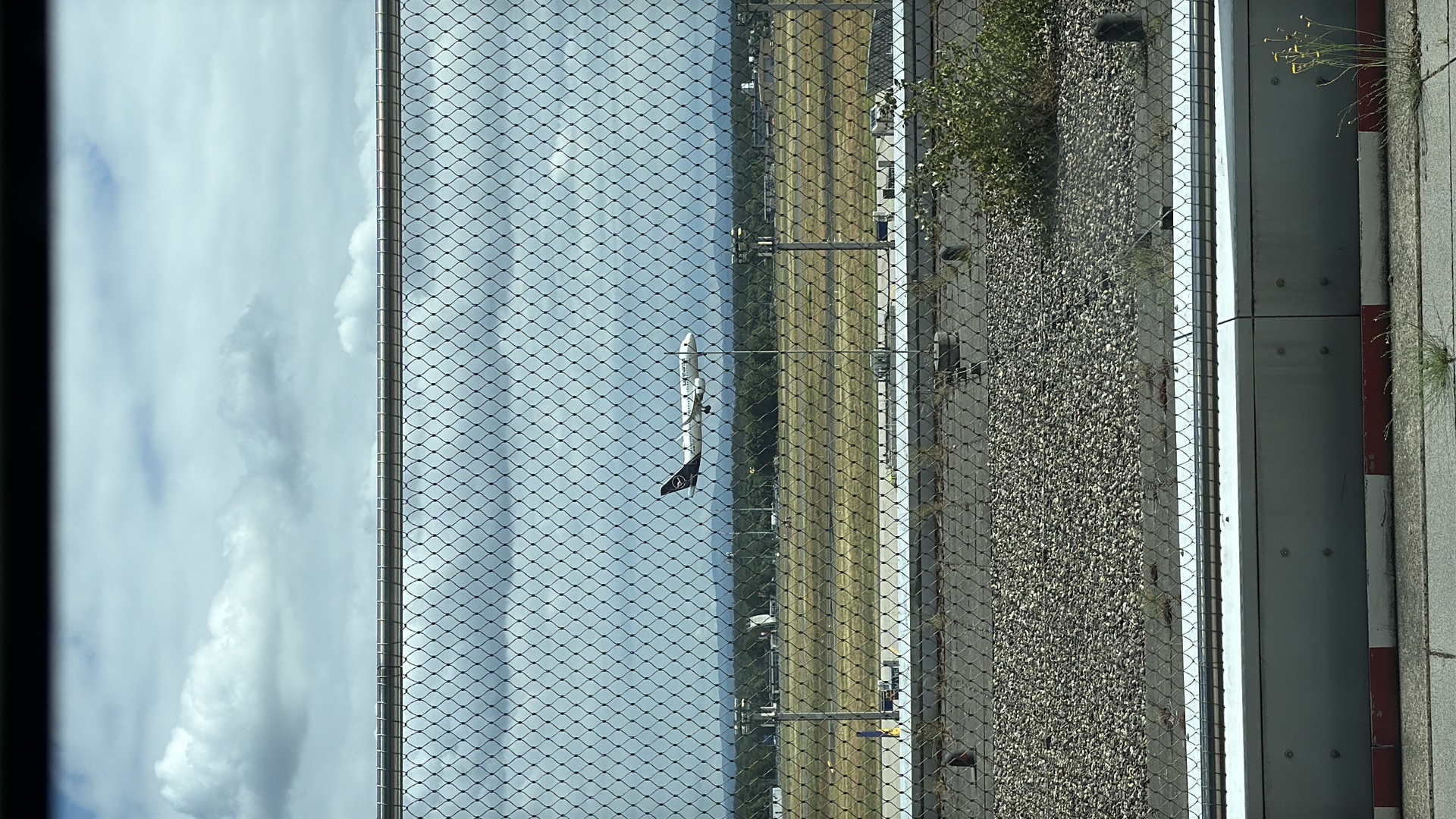 Spotting