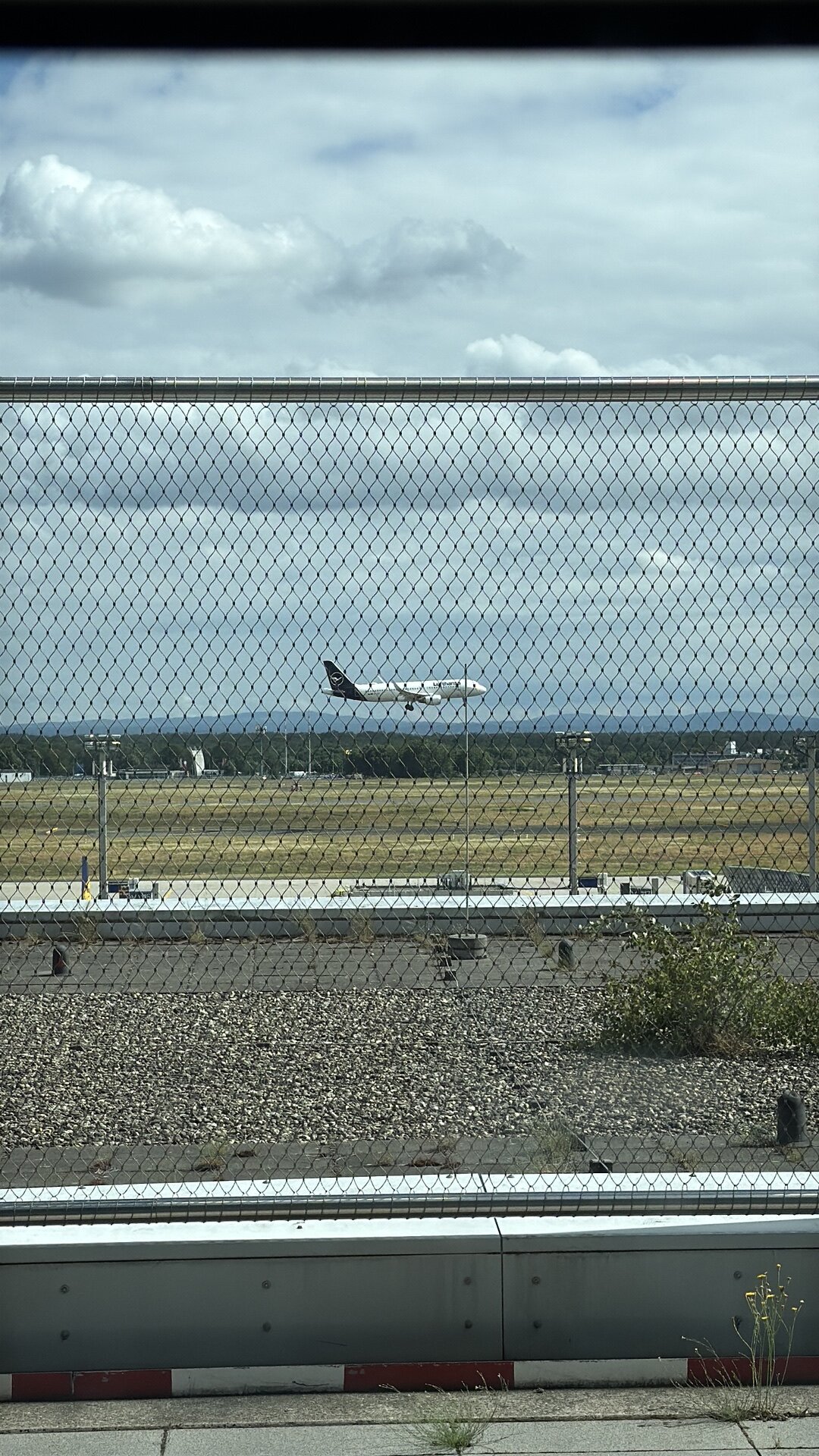 Spotting