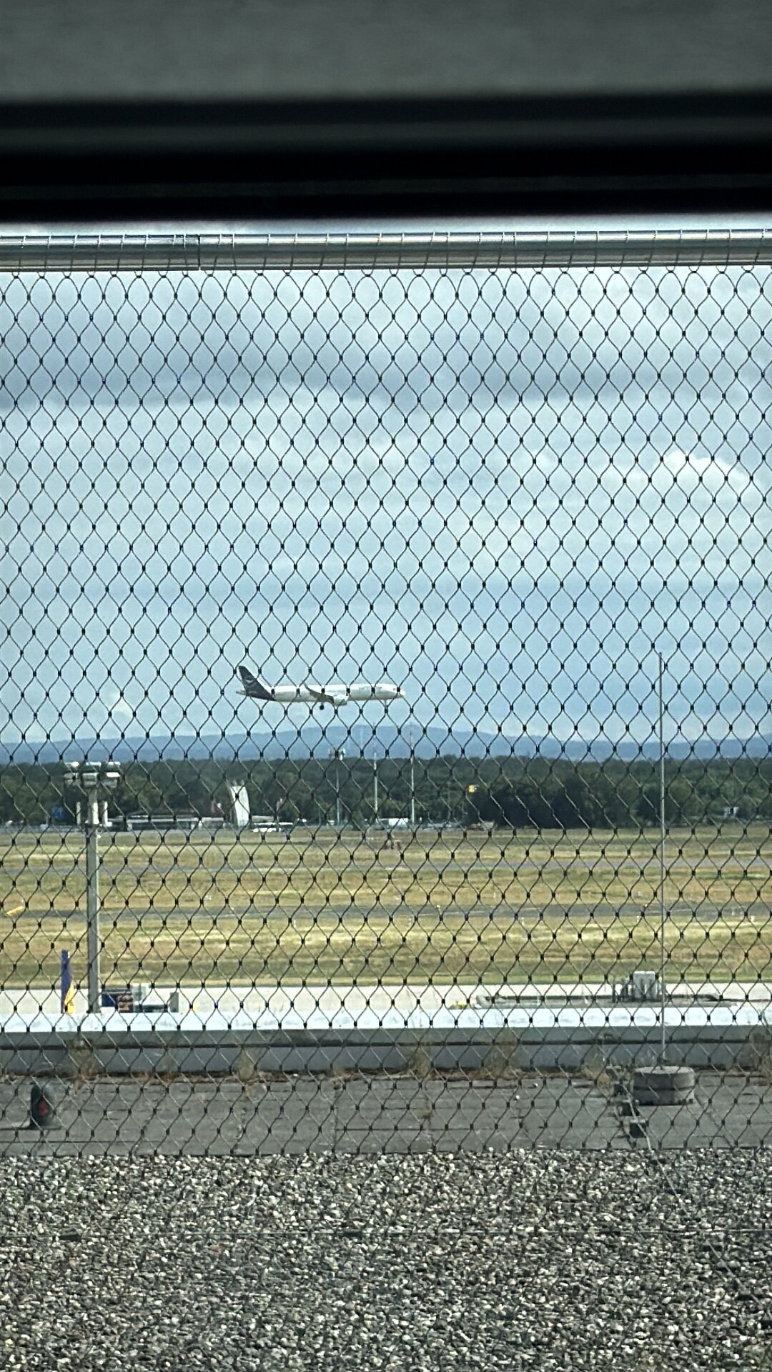 Spotting