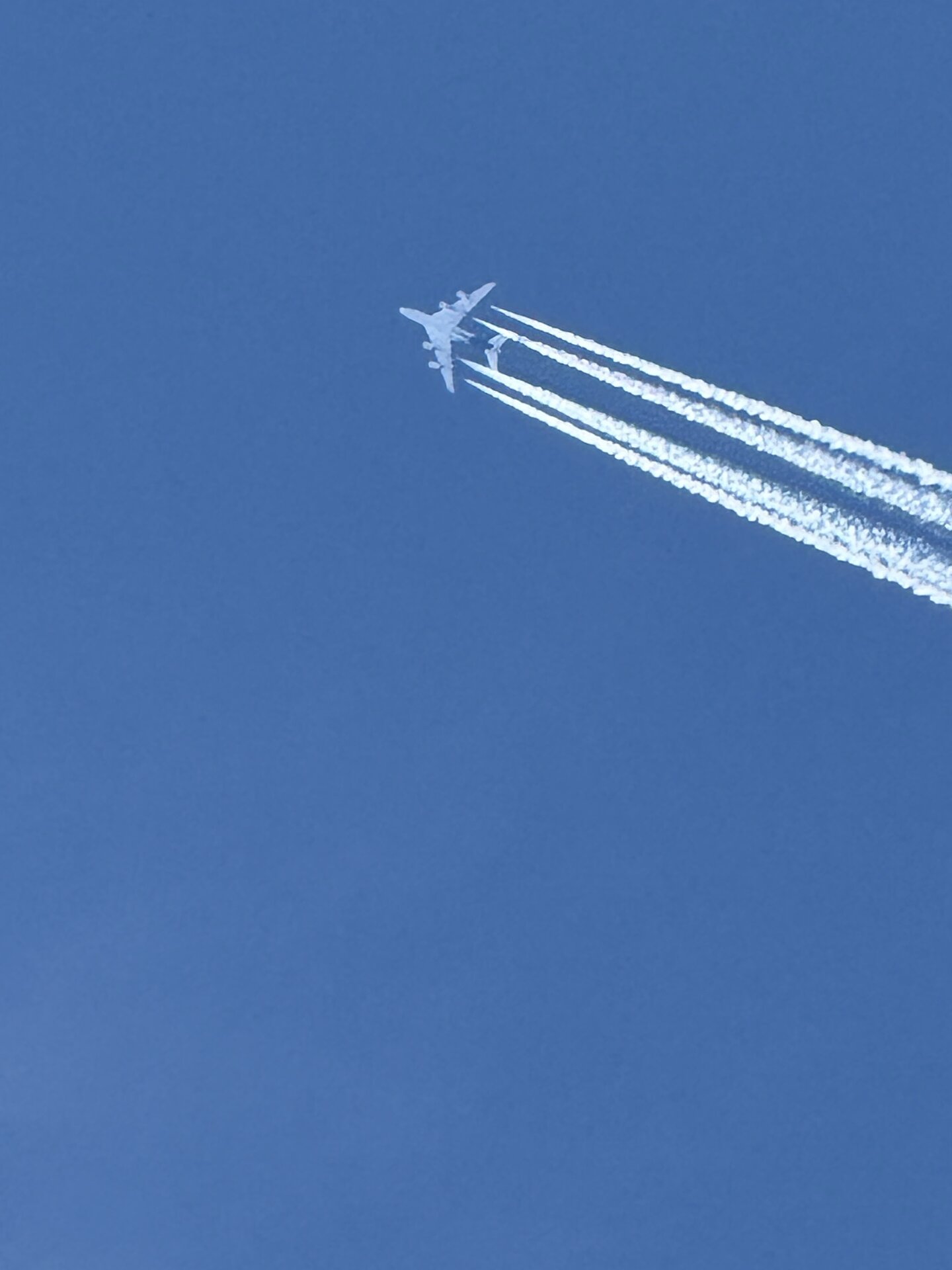 Spotting
