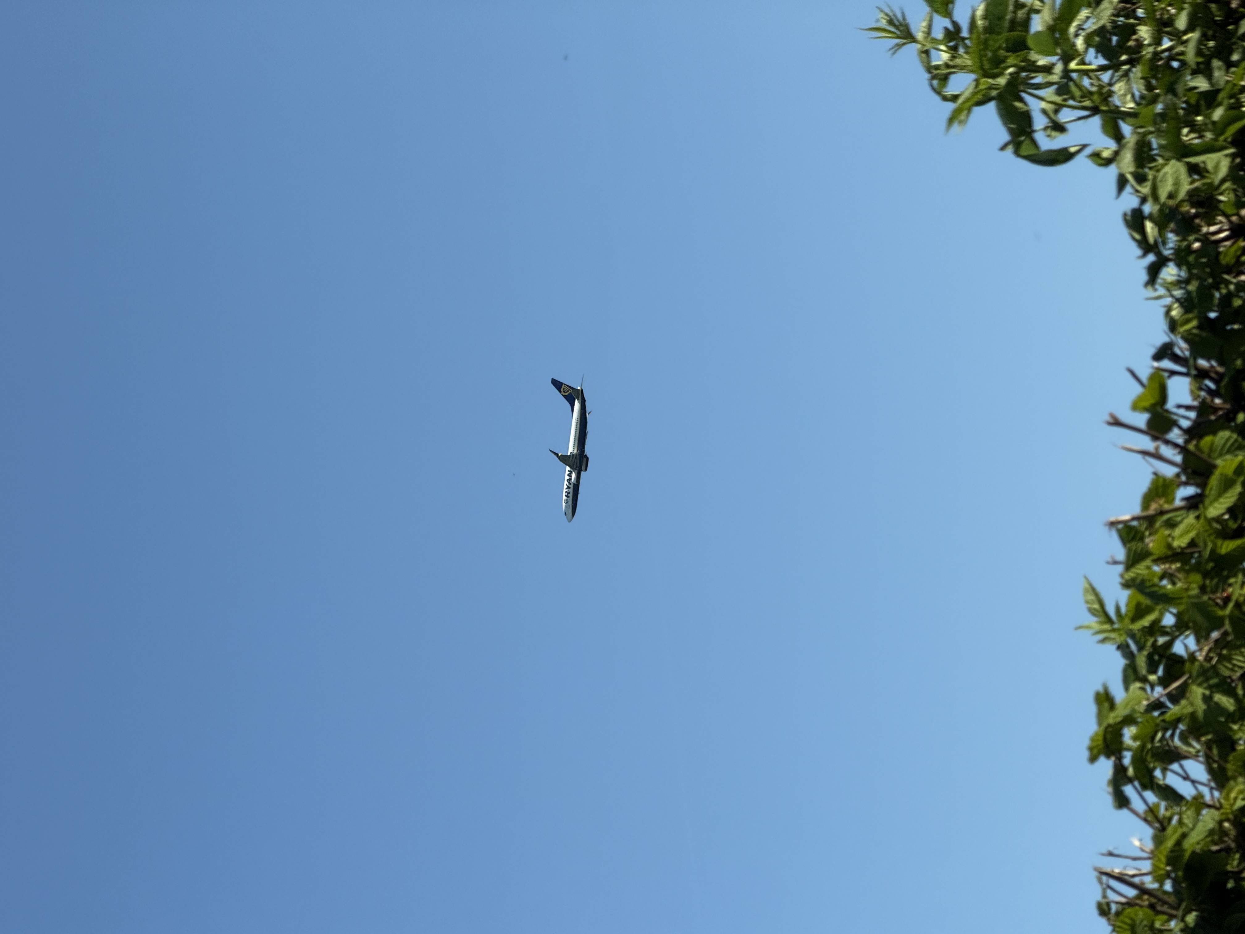 Aircraft