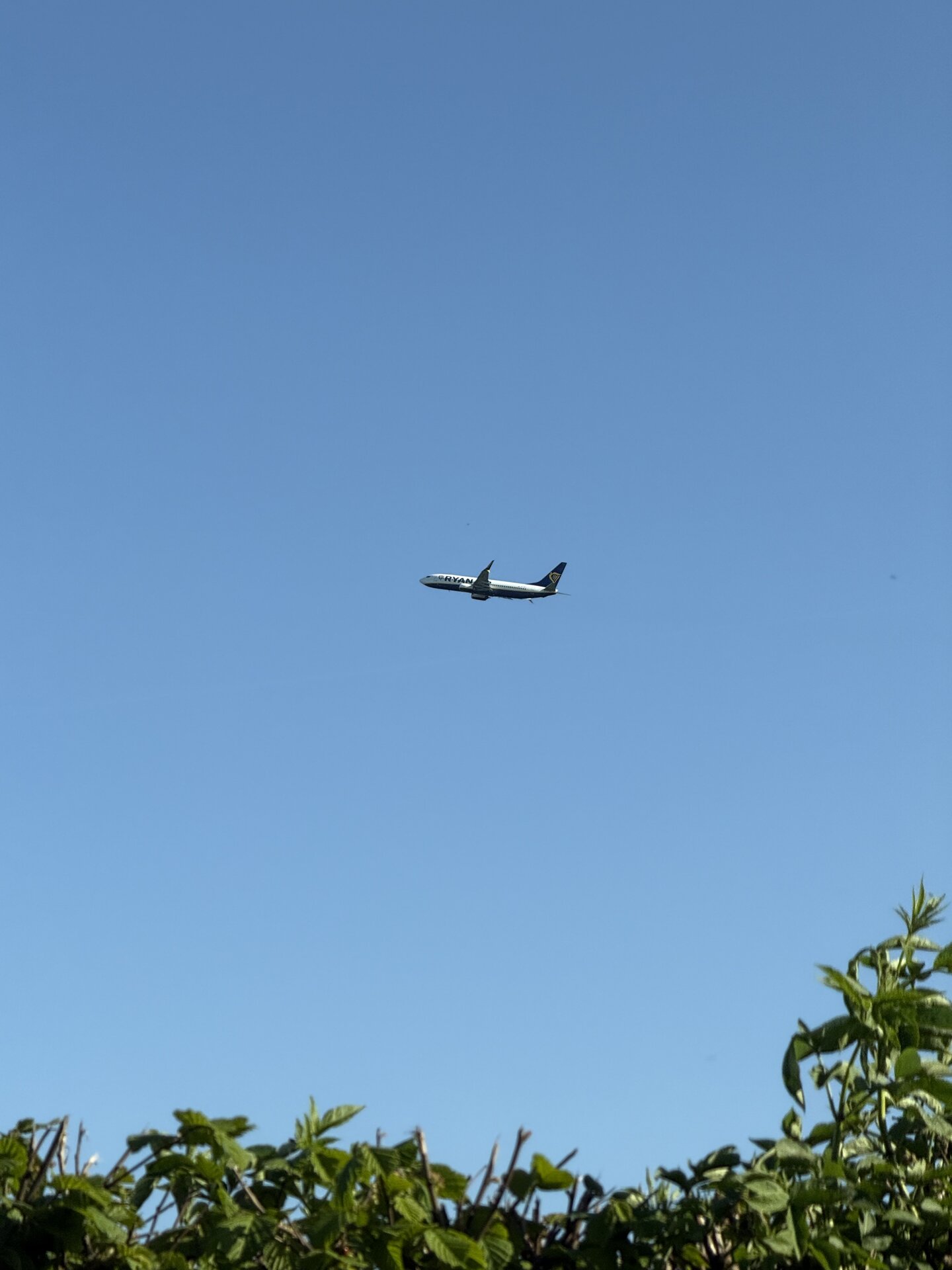 Spotting