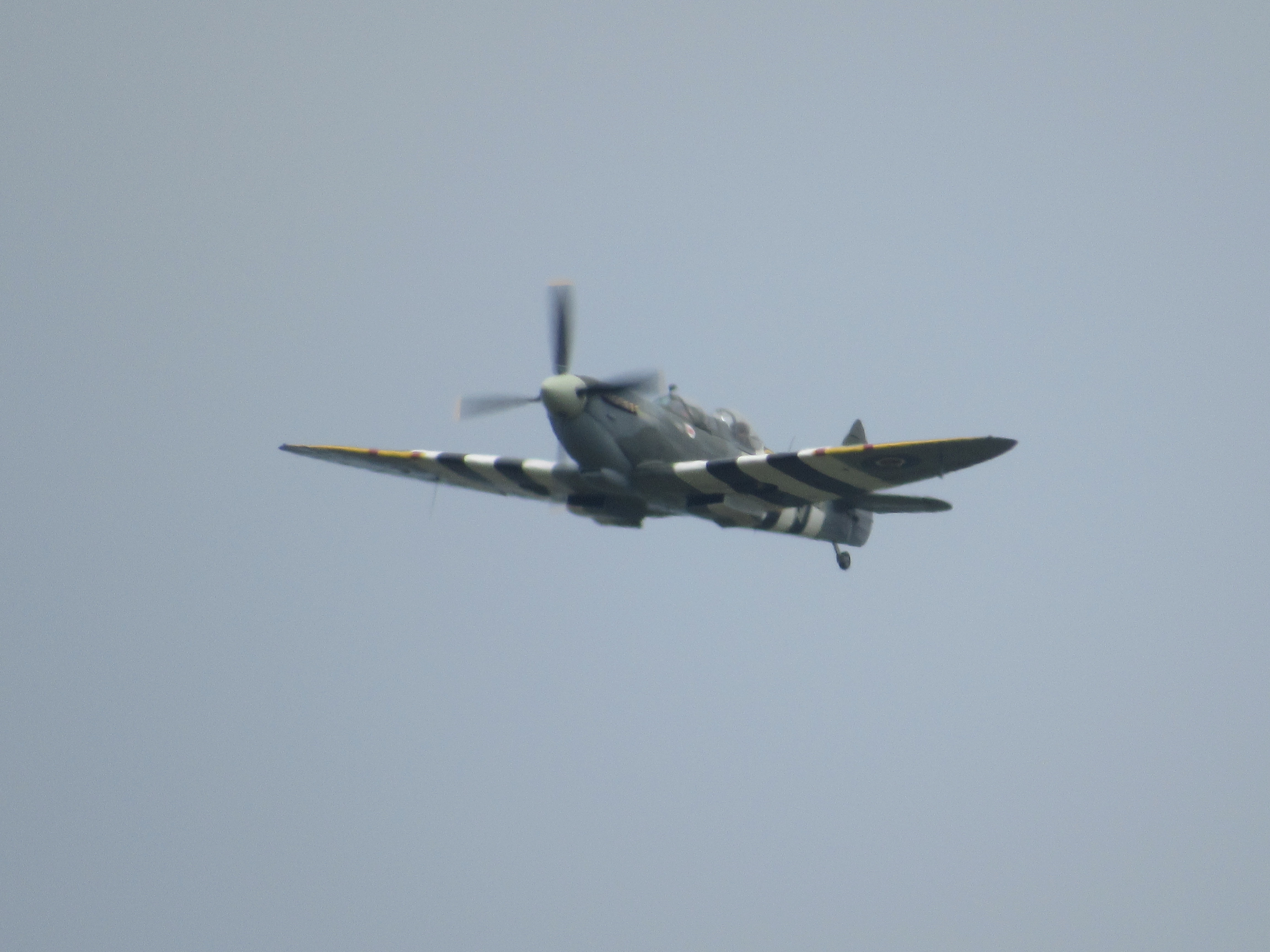 Spotting