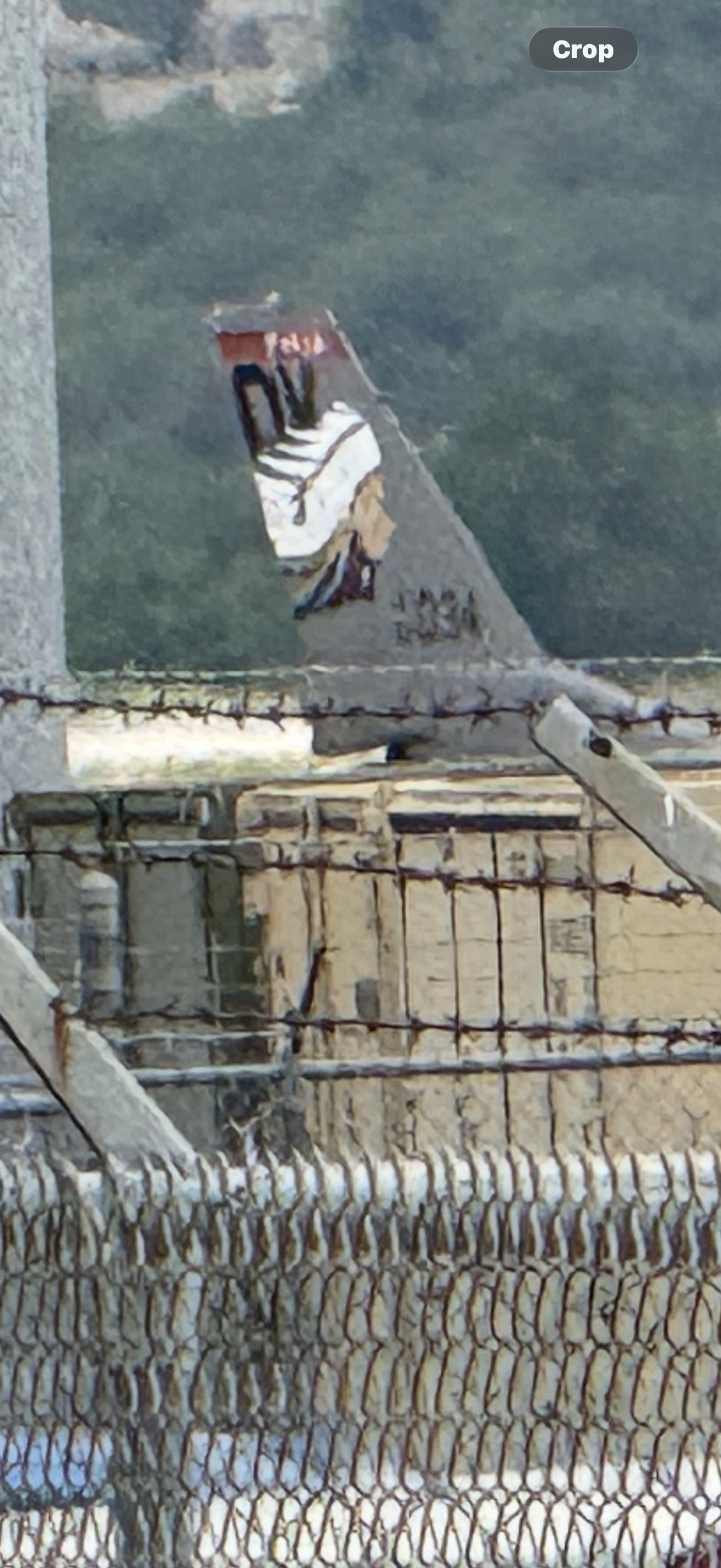 Spotting
