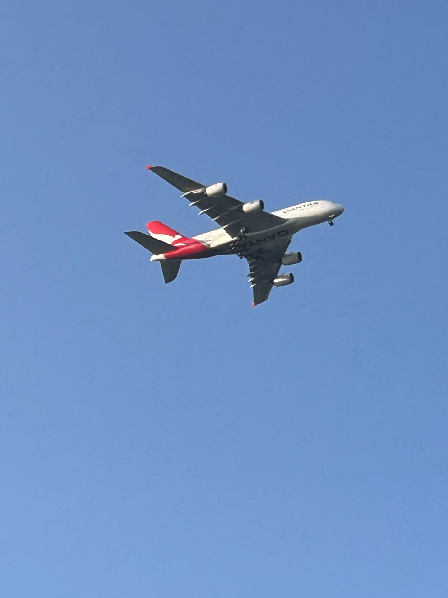 Spotting