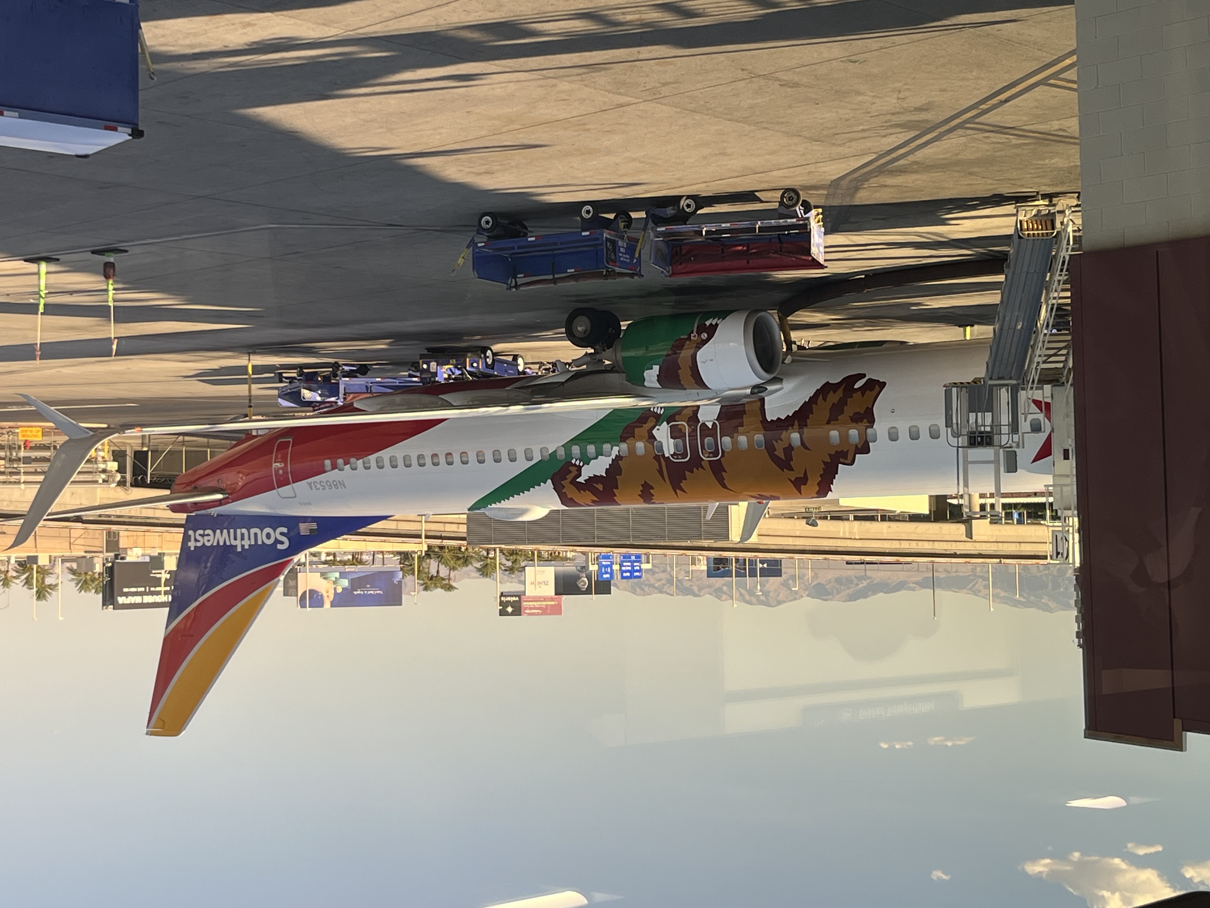Aircraft