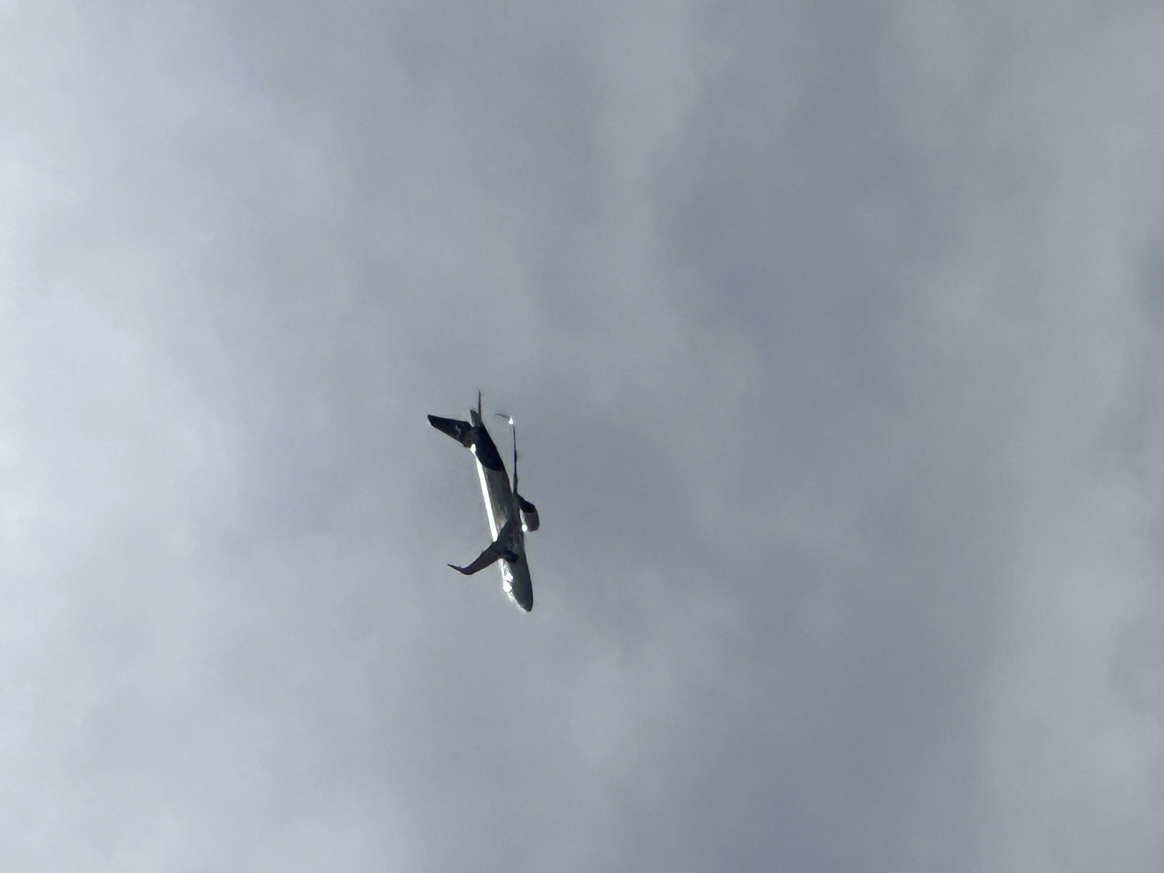 Spotting