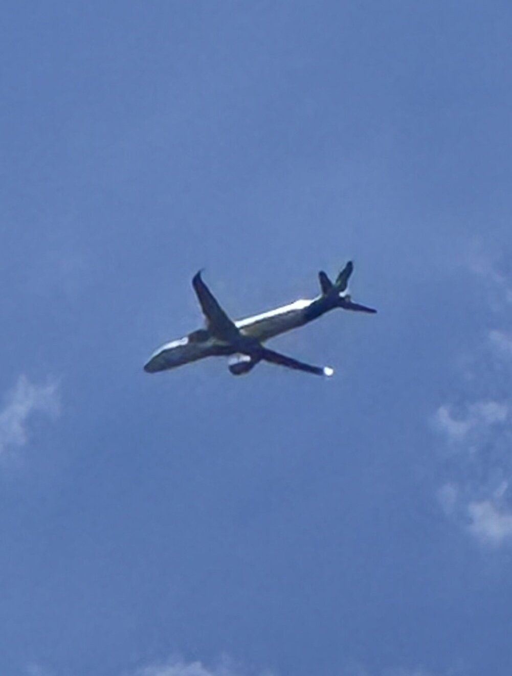 Spotting