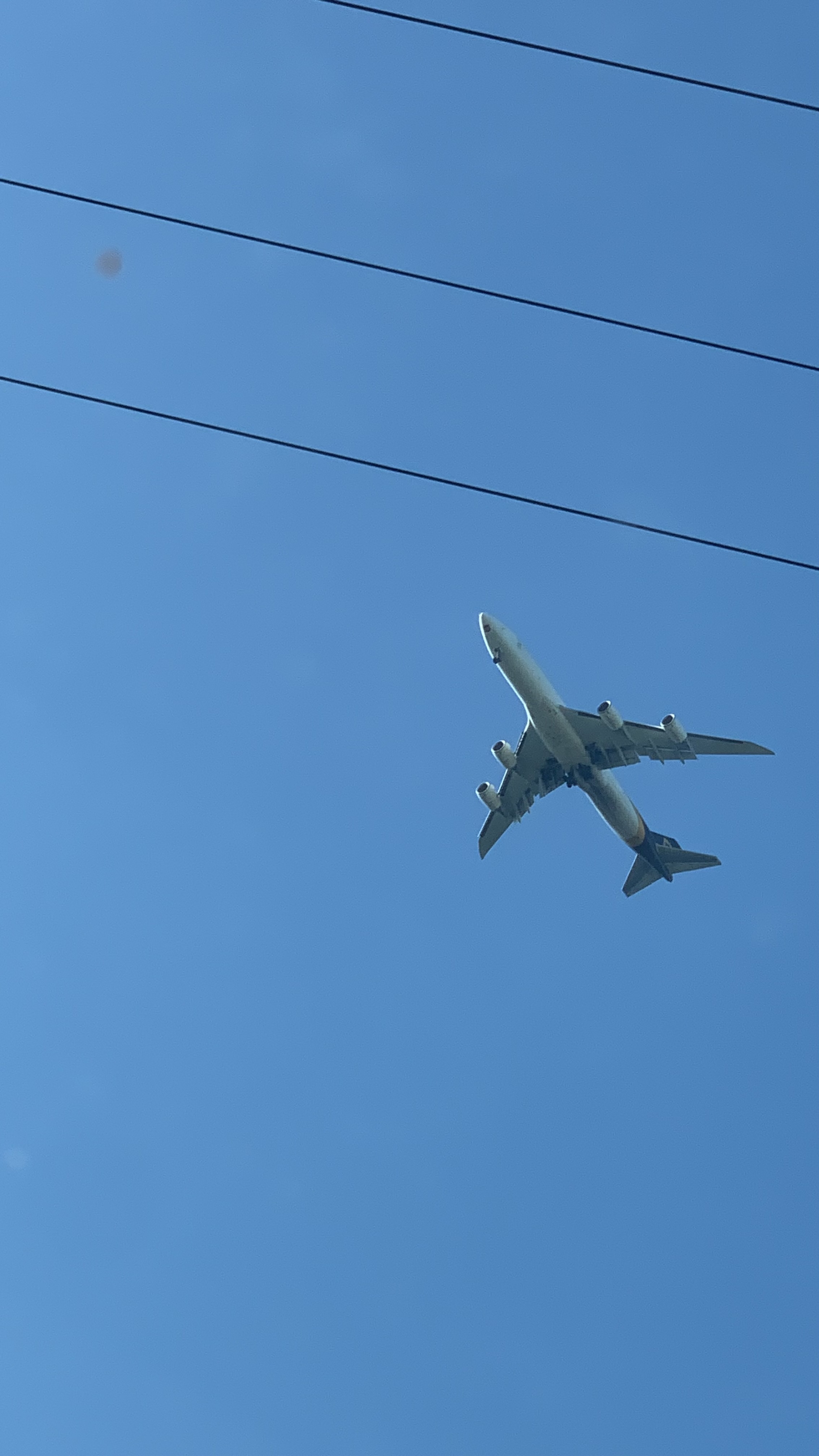 Spotting