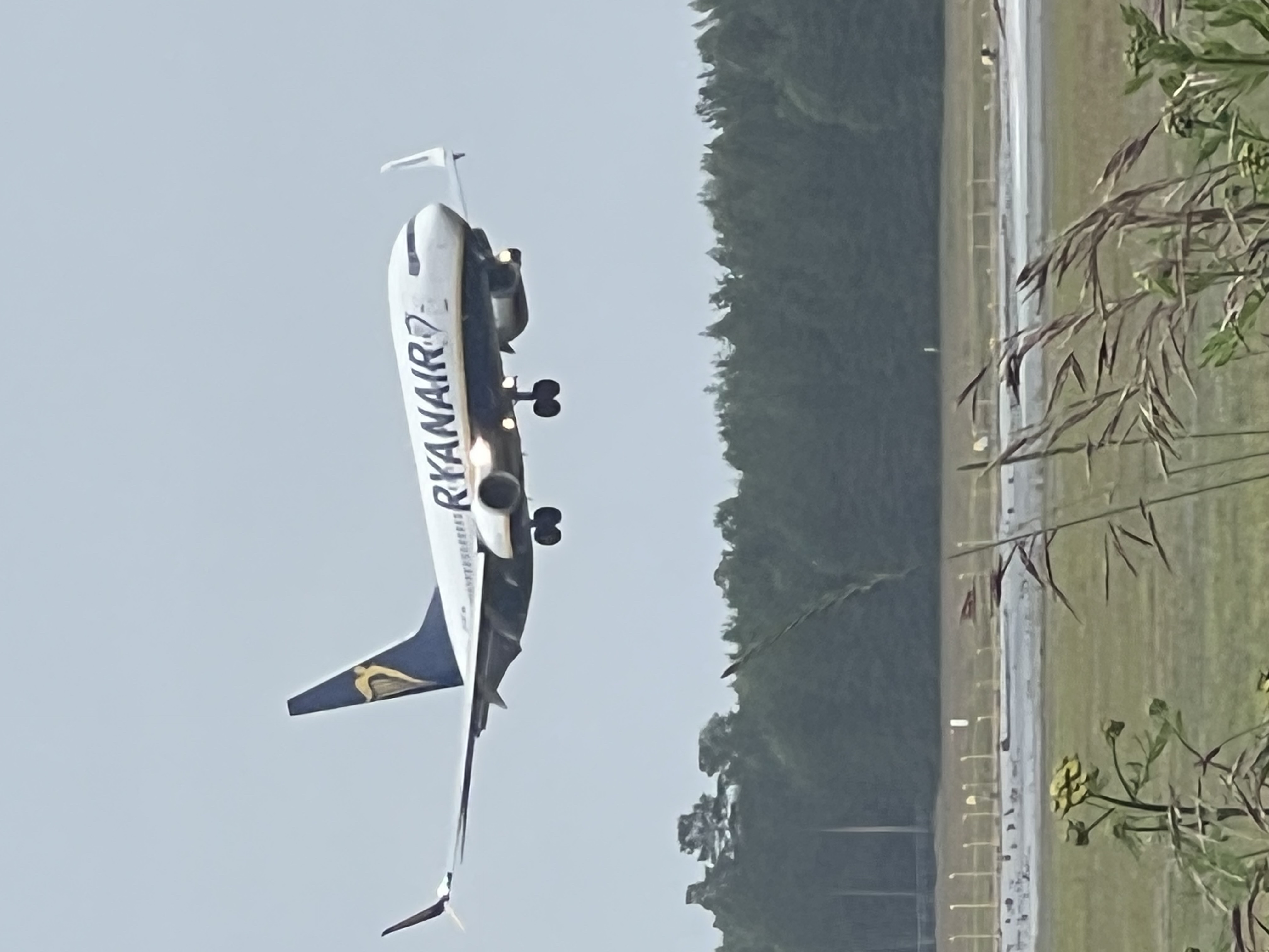 Spotting