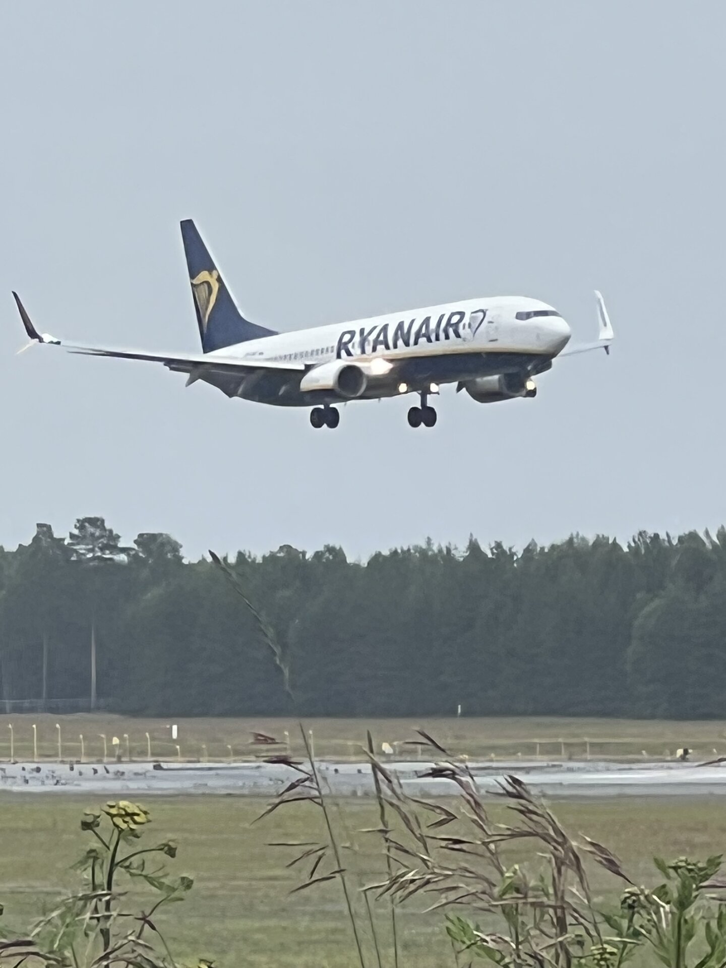 Spotting