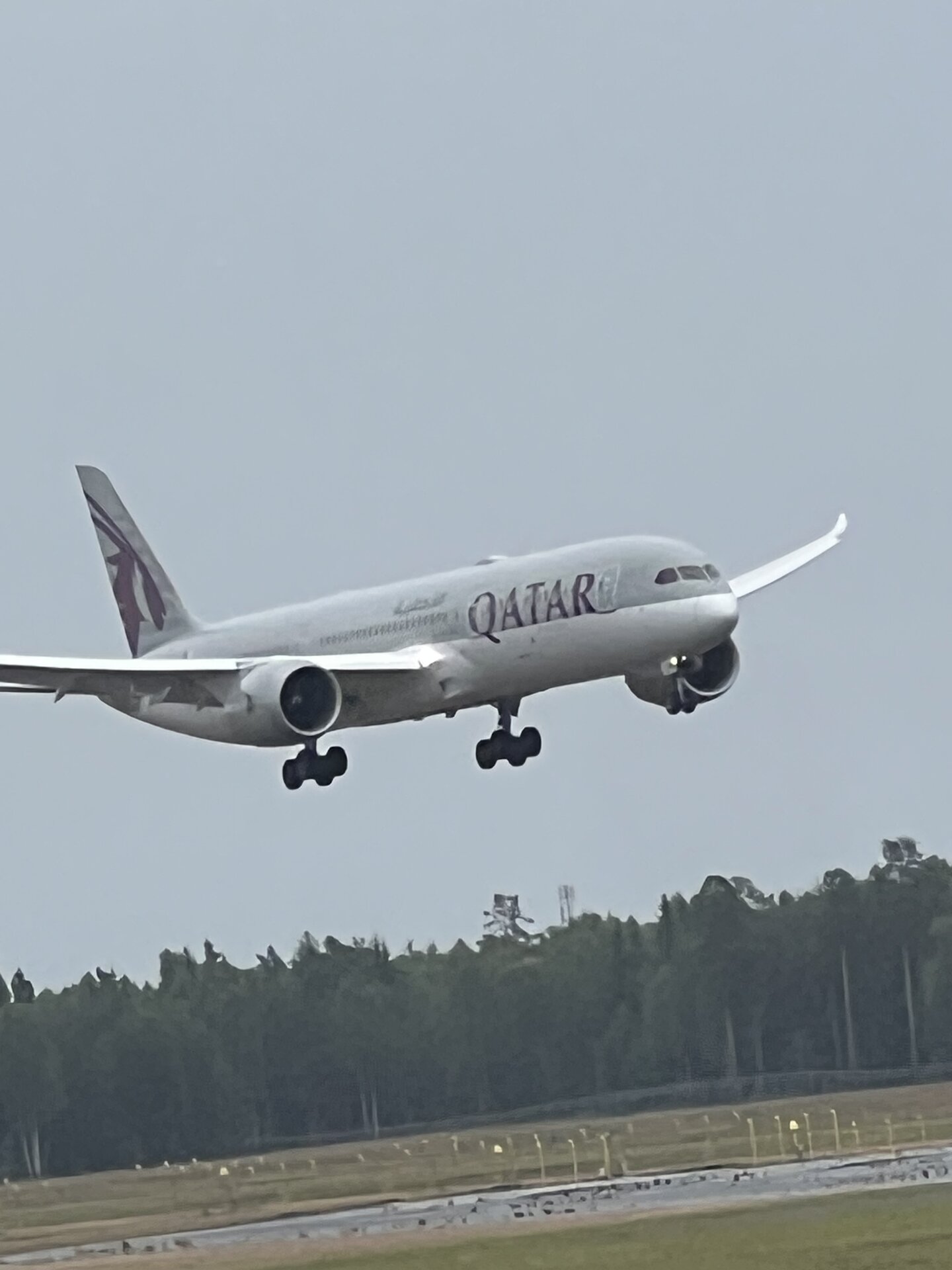 Boeing 787-8 Dreamliner