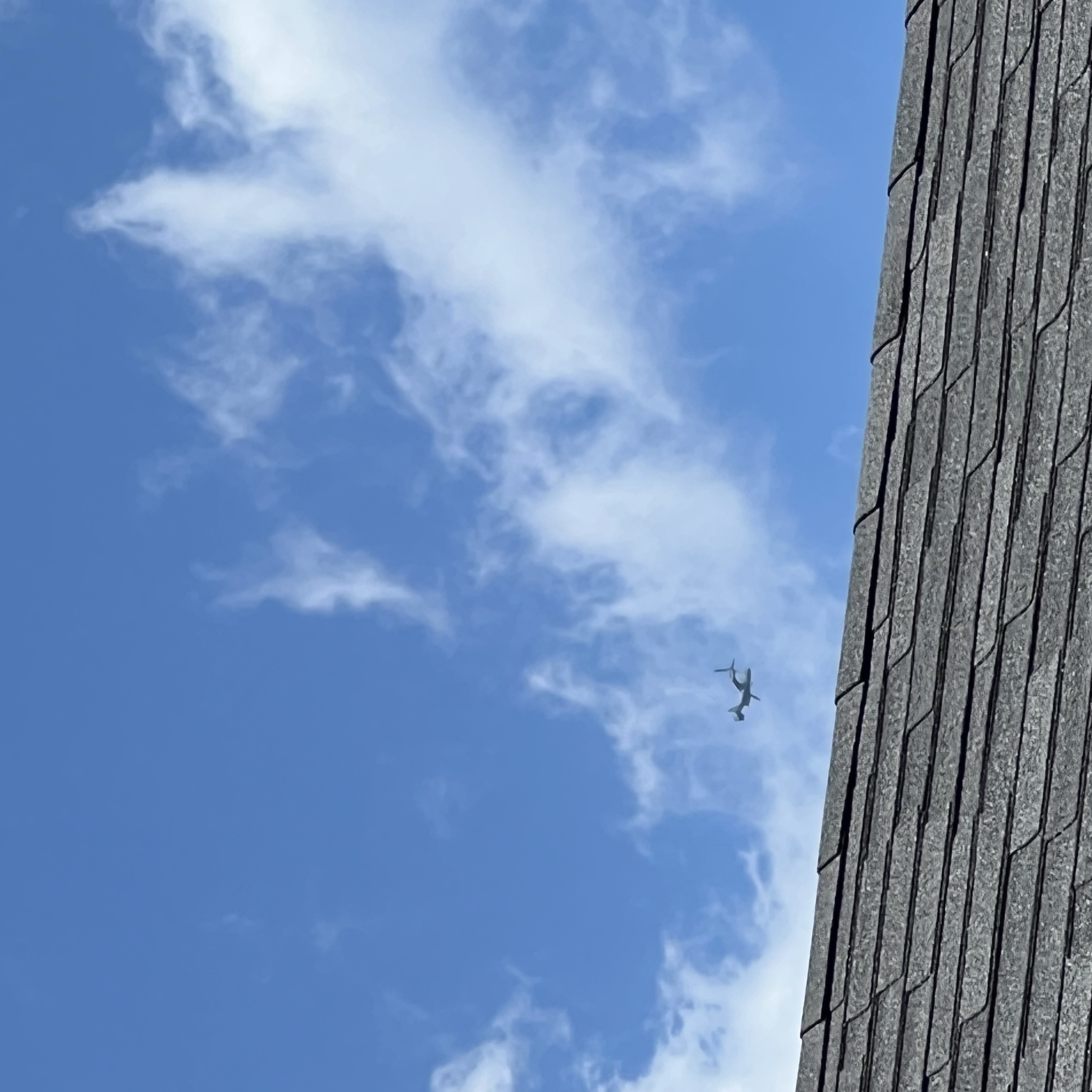Spotting