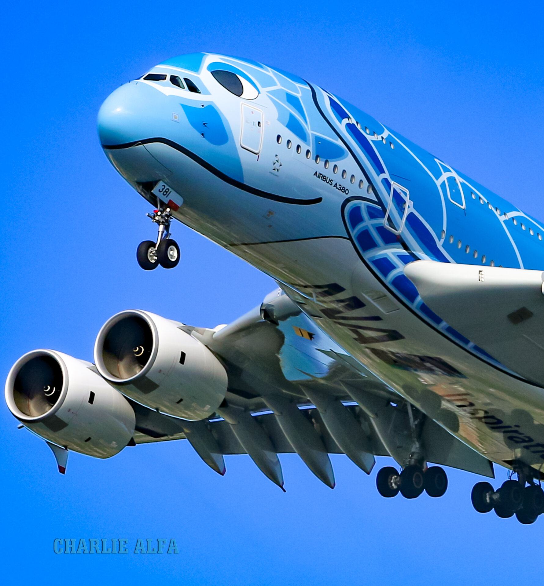 Spotting