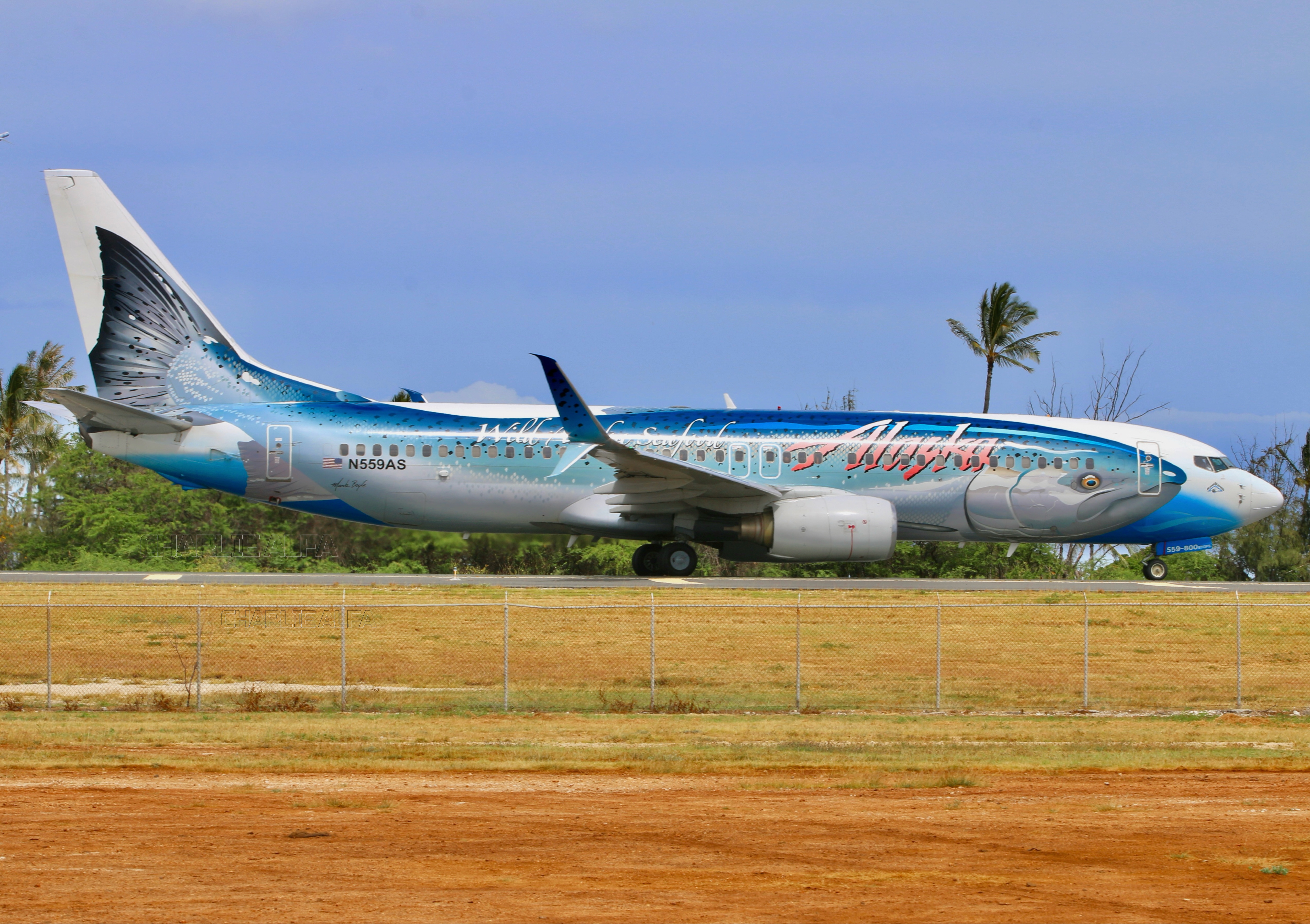Aircraft