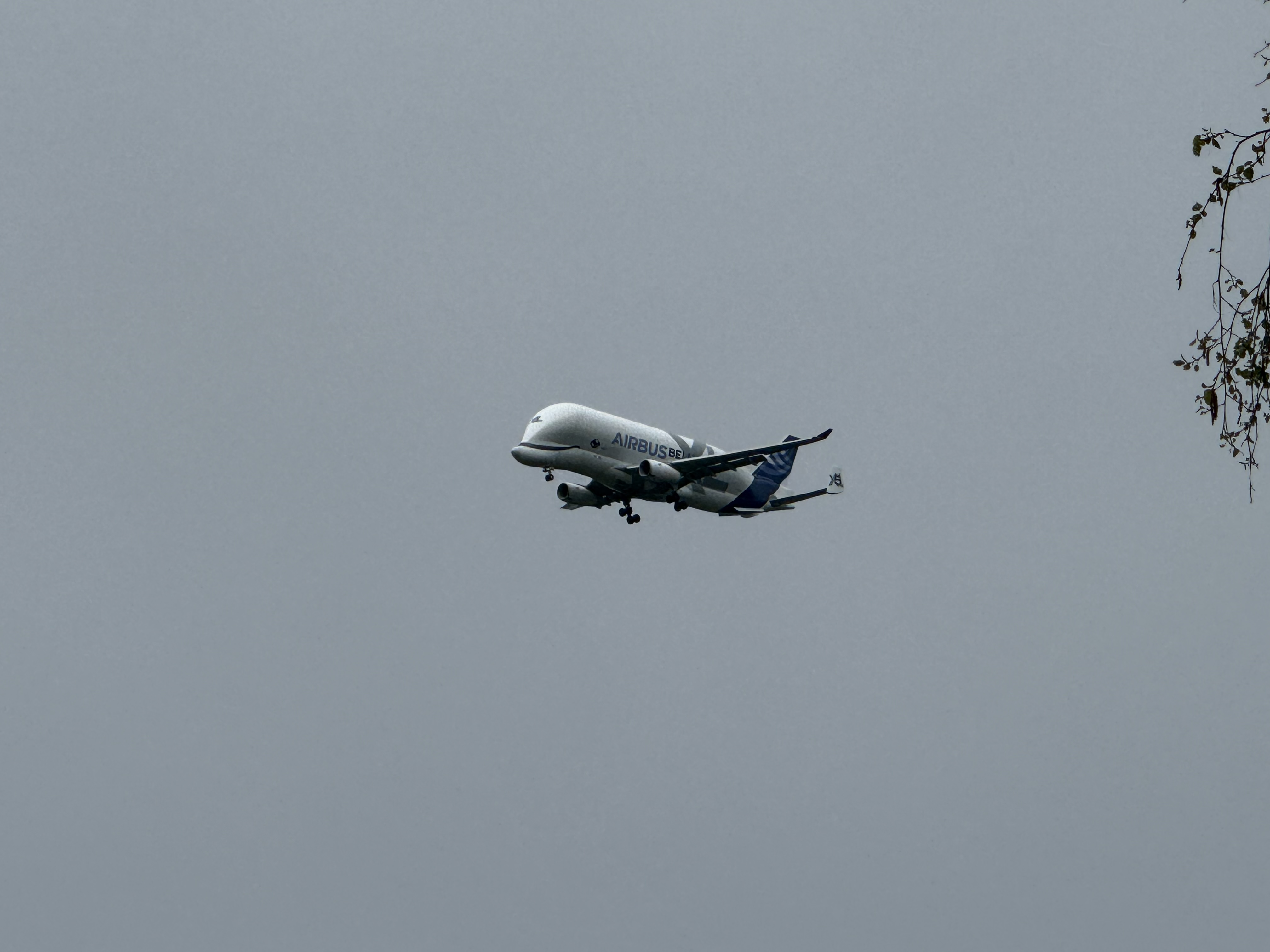 Aircraft