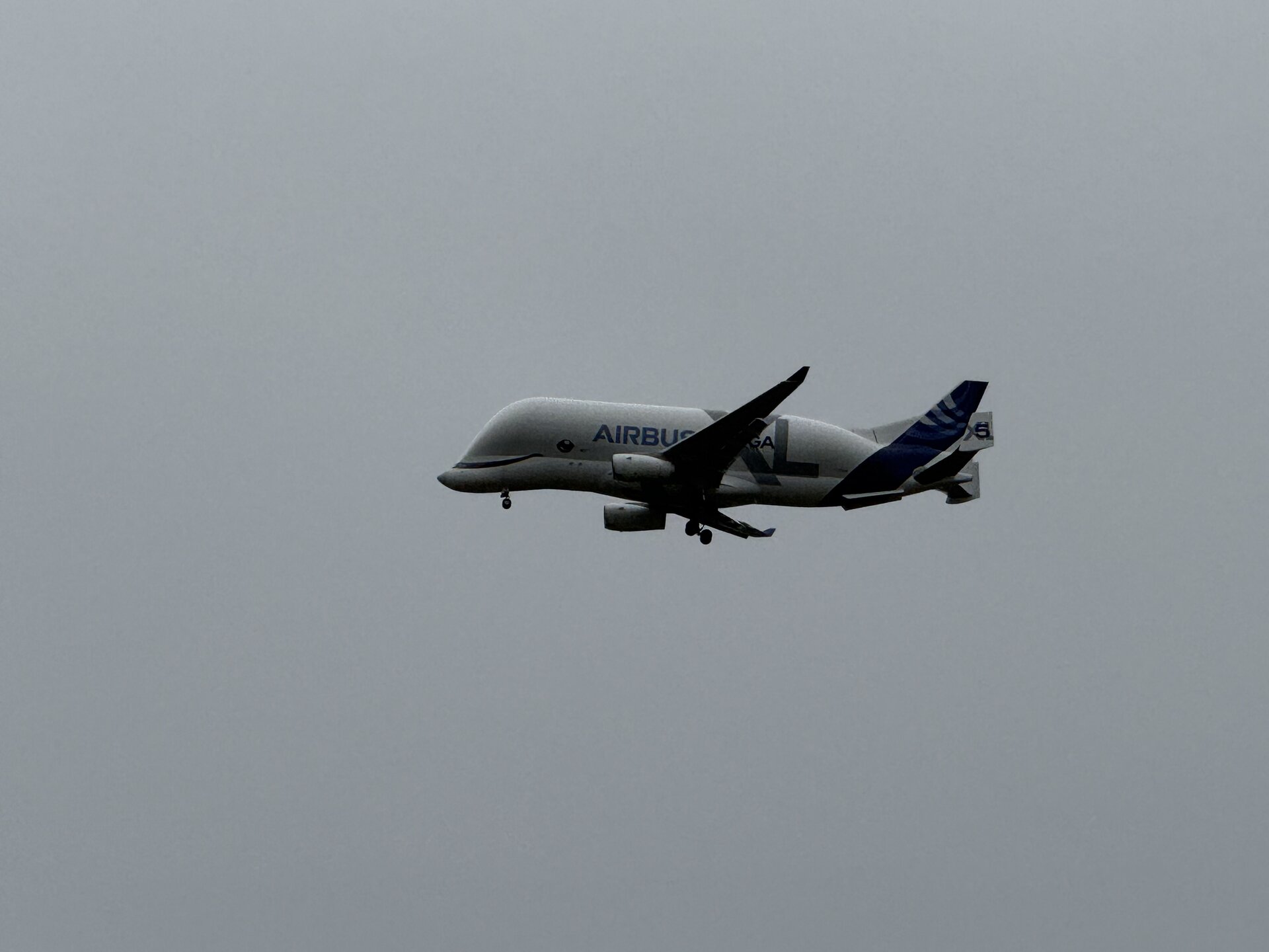 Spotting