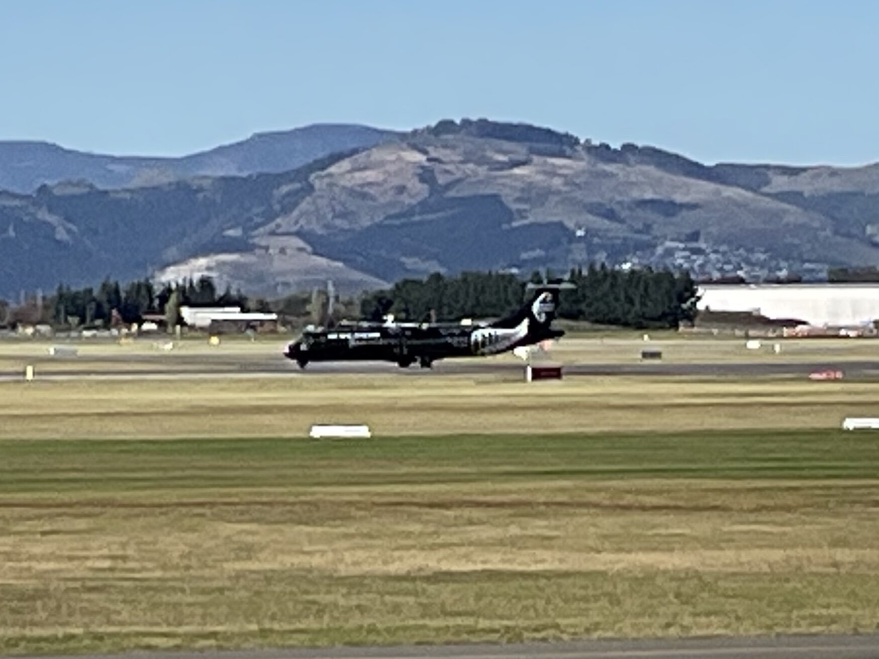 Spotting
