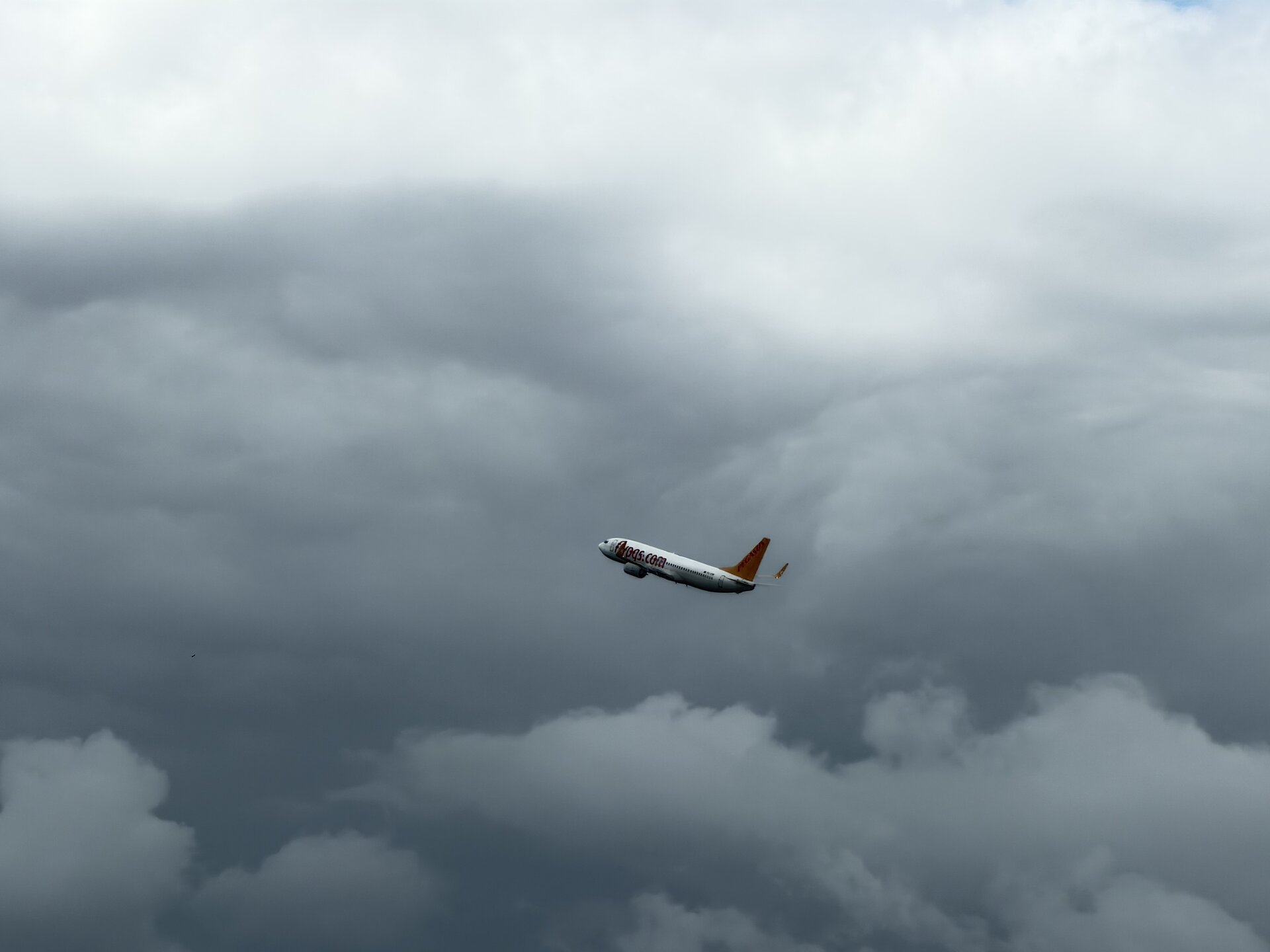 Boeing 737-800