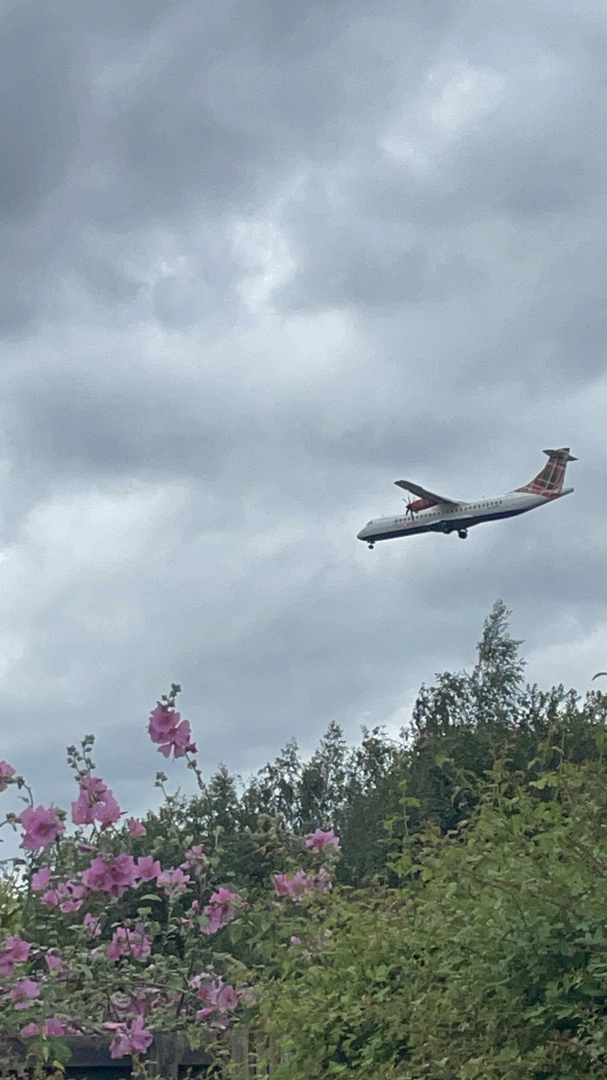 Spotting