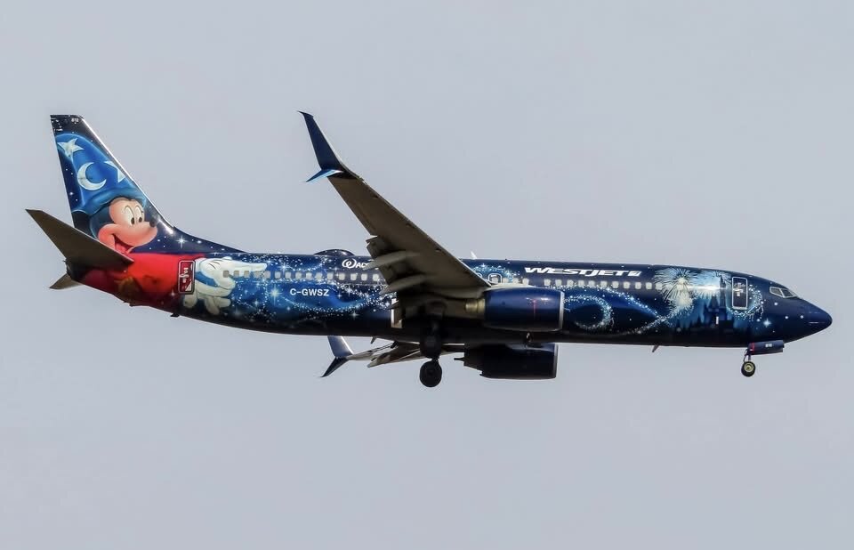 Boeing 737-800