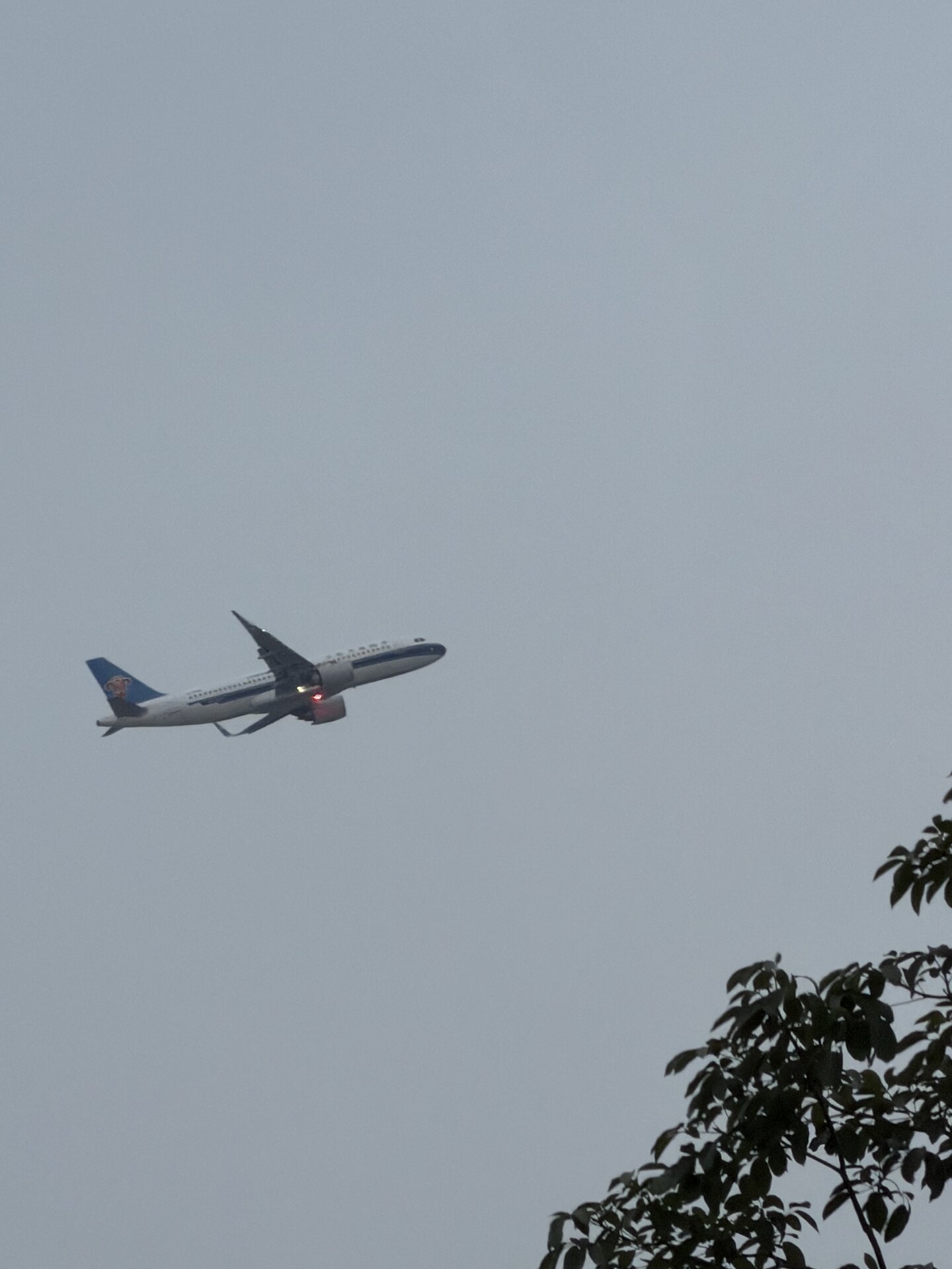 Airbus A320