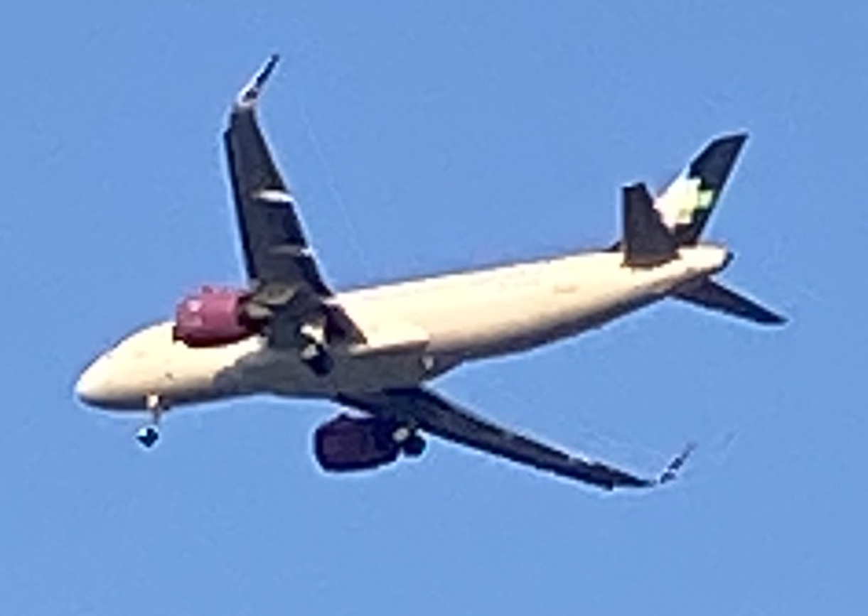 Spotting