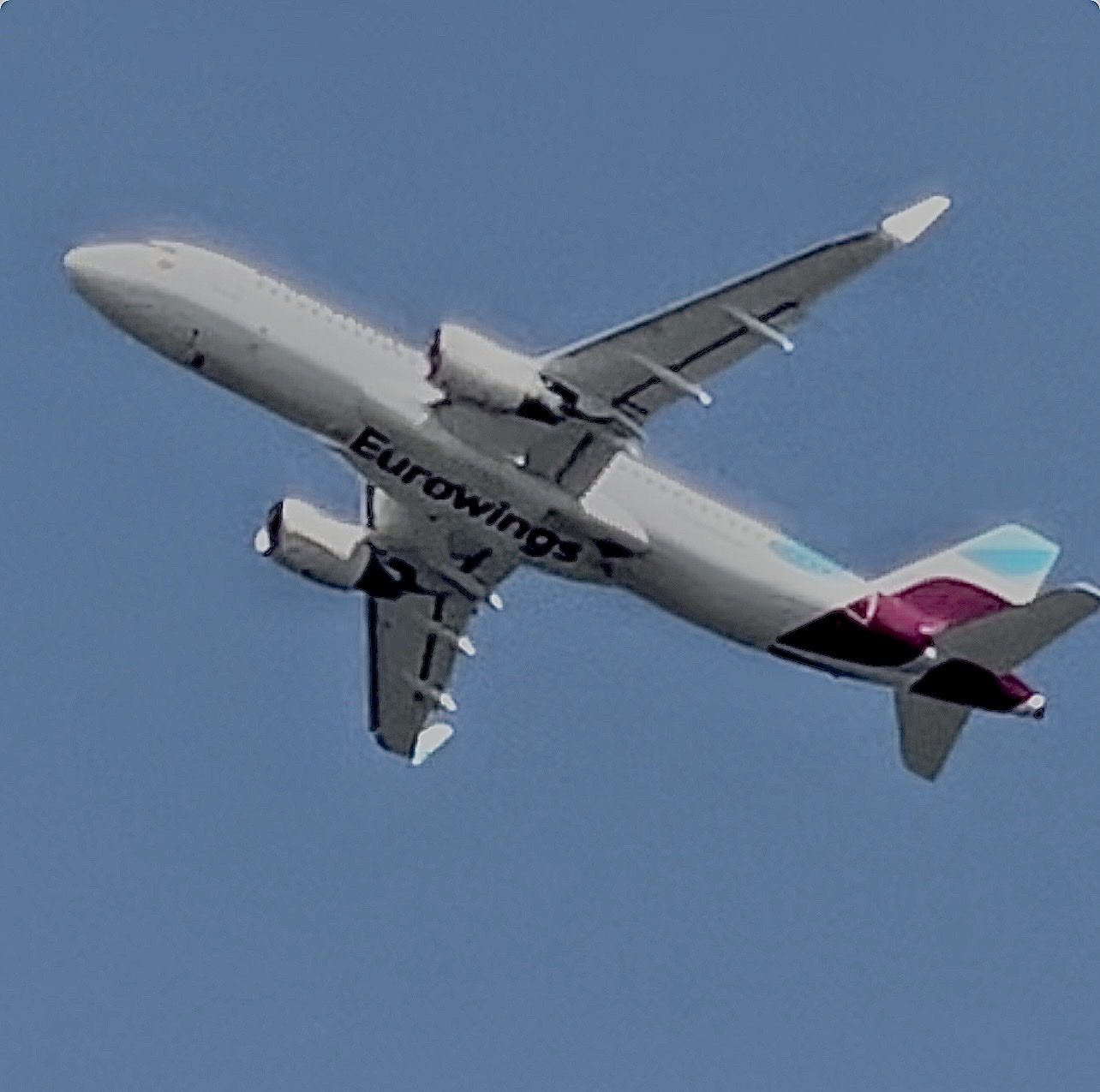 Spotting