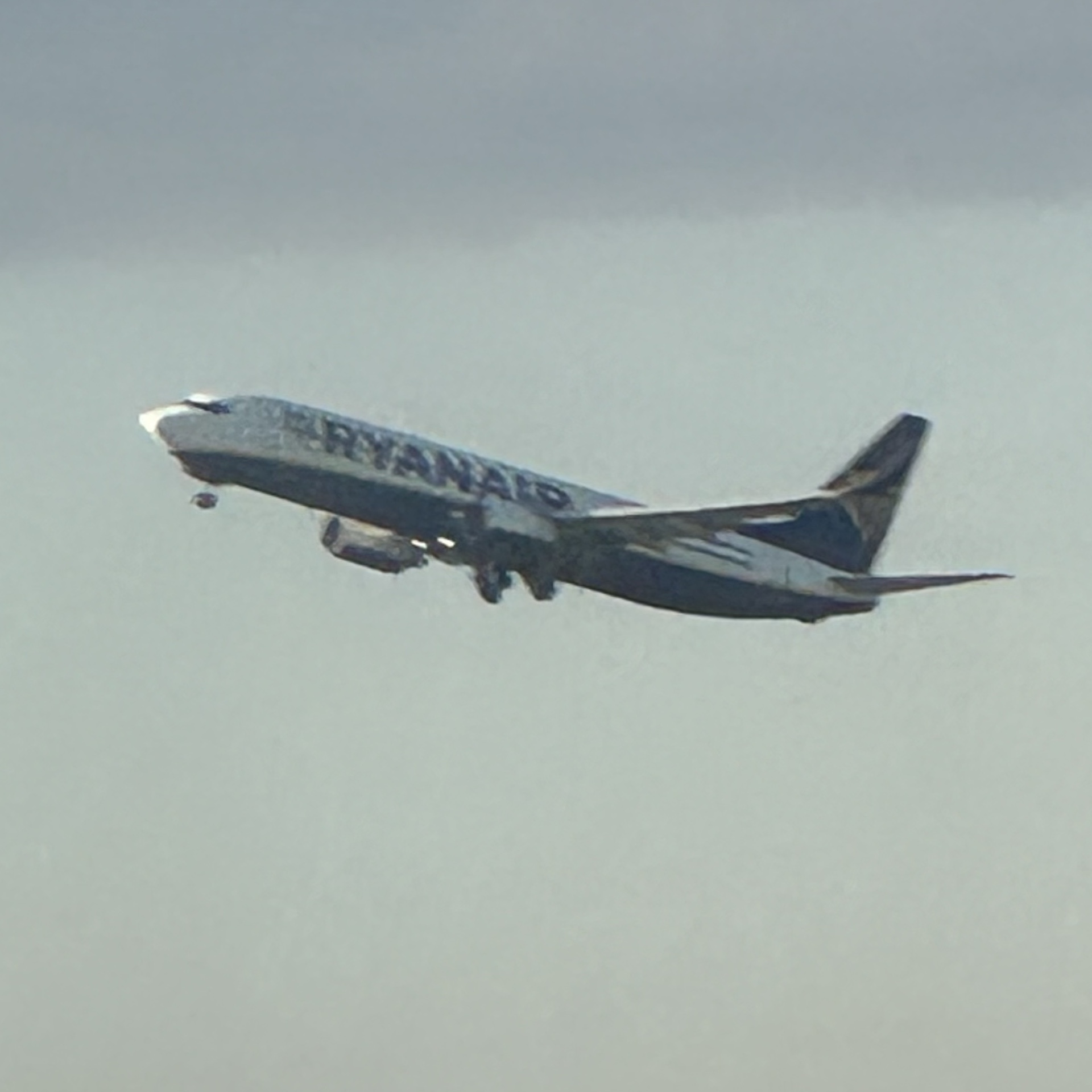 Boeing 737-800